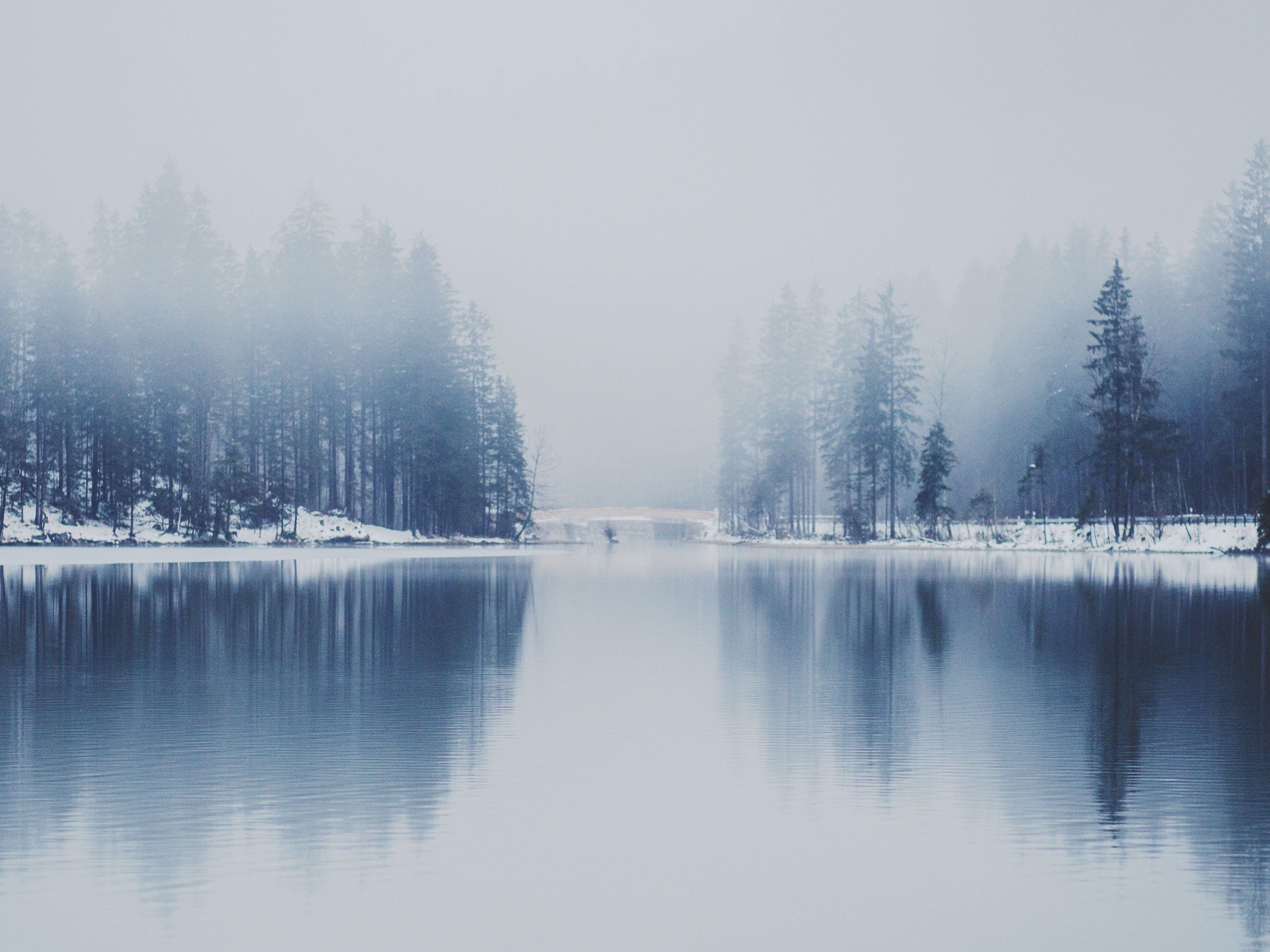 Misty Lake Wallpaper, Android & Desktop Background