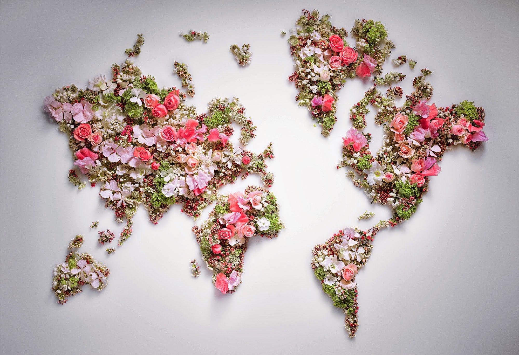 world, Flowers, World Map Wallpaper HD / Desktop and Mobile