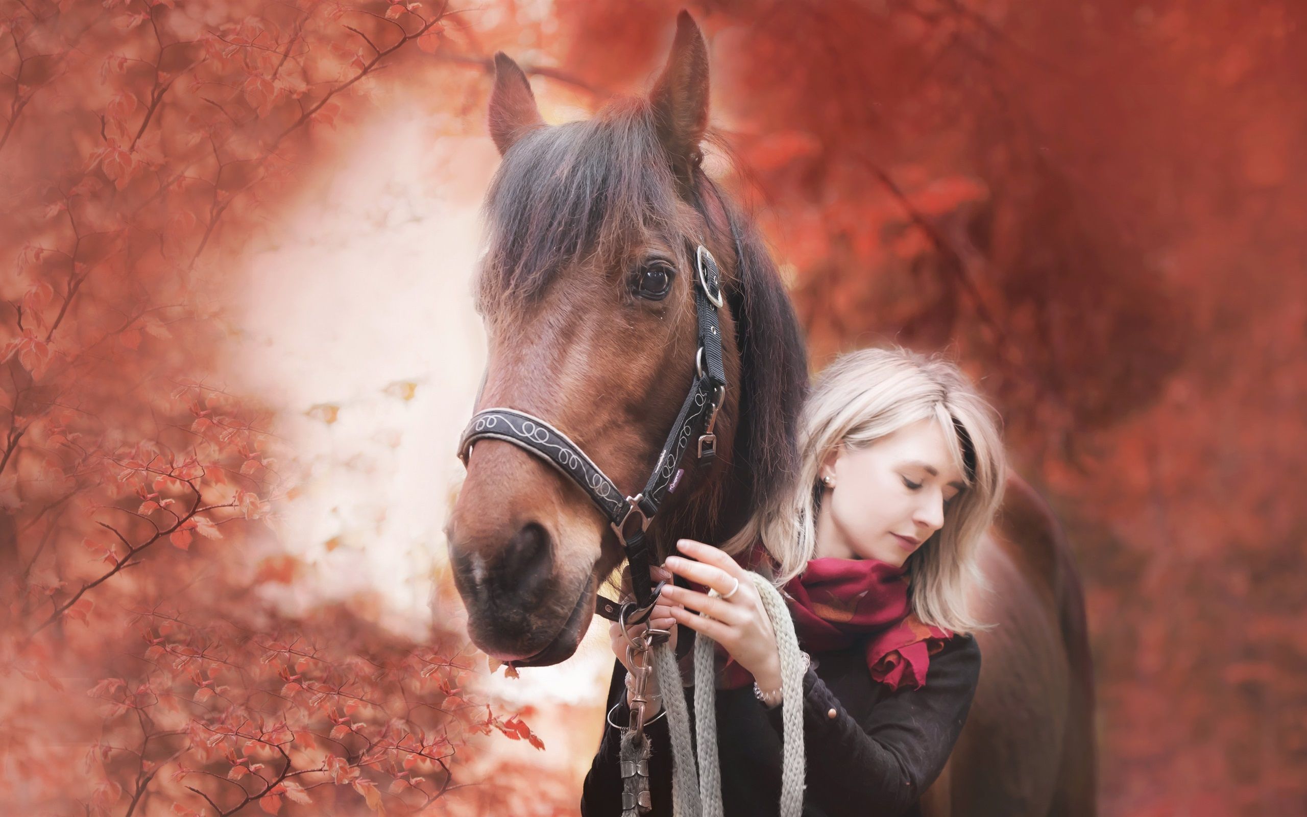 Wallpaper Girl and horse, autumn 2560x1600 HD Picture, Image