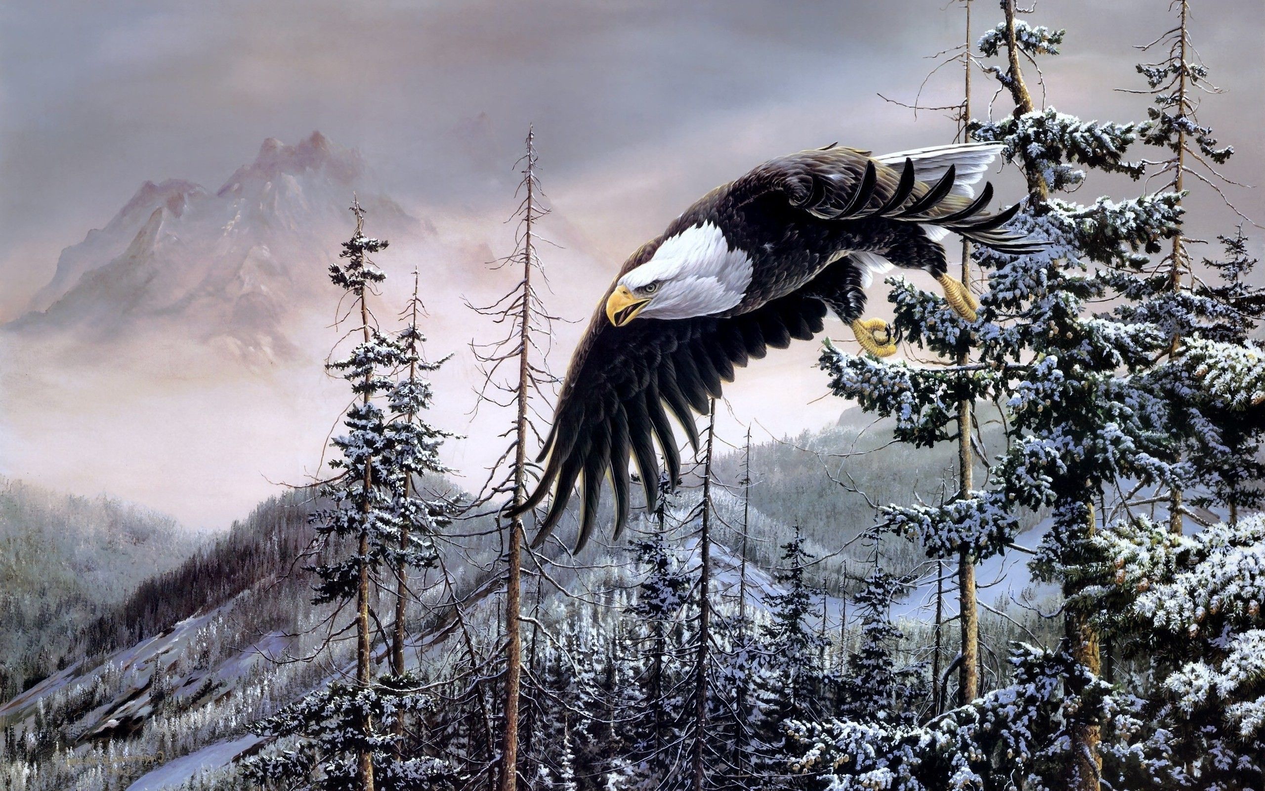 Bald Eagle Wallpaper