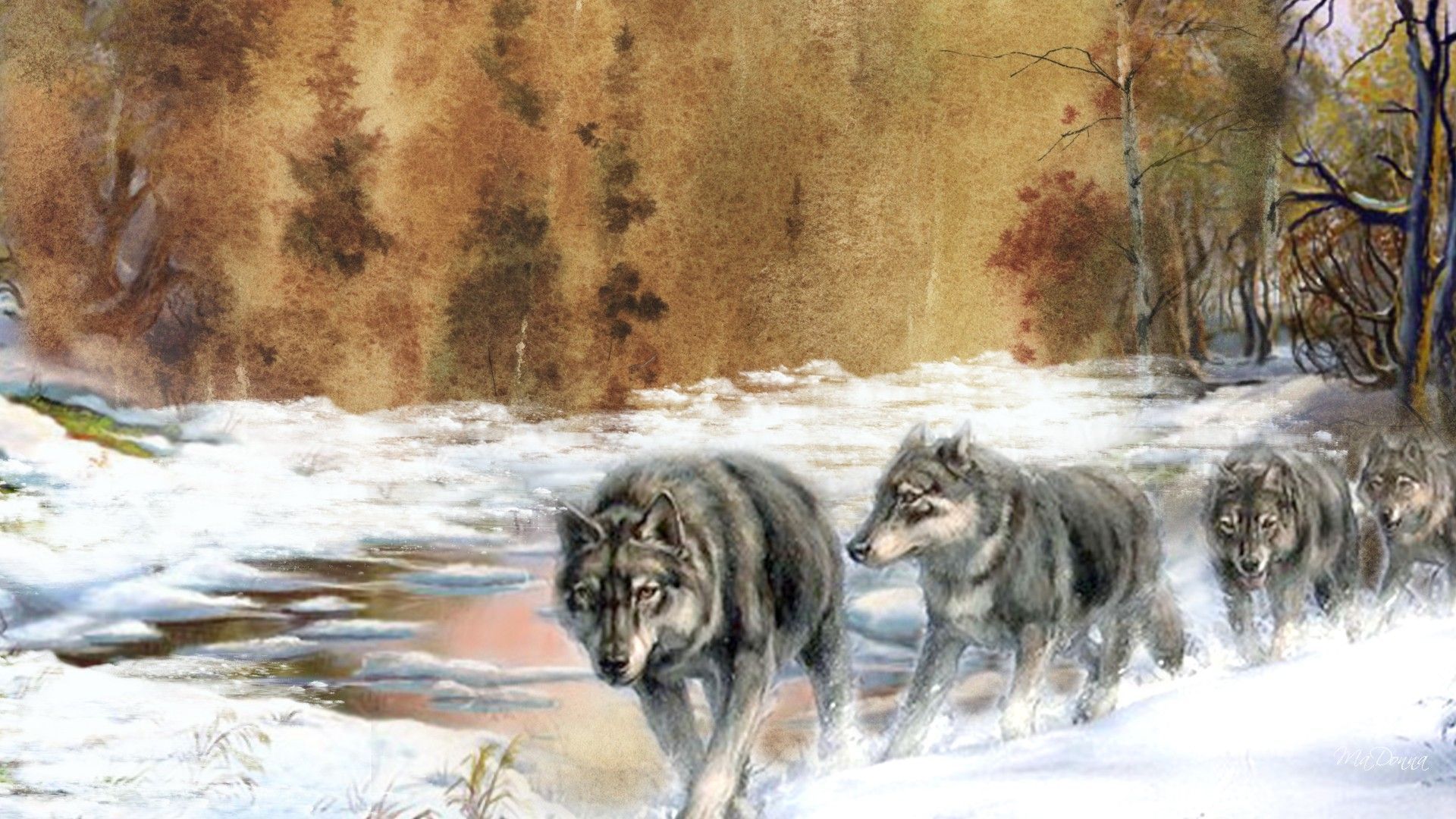 Early Winter Wolves Autumn Painting Trees Fall Creek Forest Snow River Wolf Pack Wolves2 Dogs Desktop Wallpaper. Autumn painting, Fall wallpaper, Winter wolves