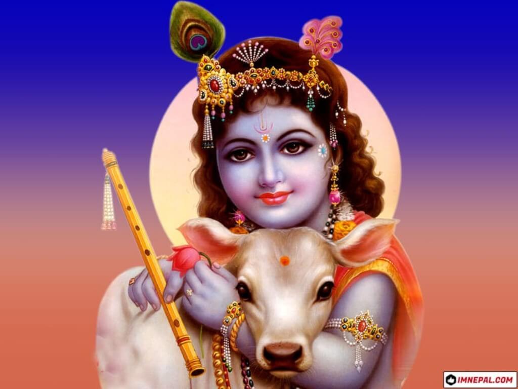 Lord Krishna Image HD Wallpaper With Facts To Download Free