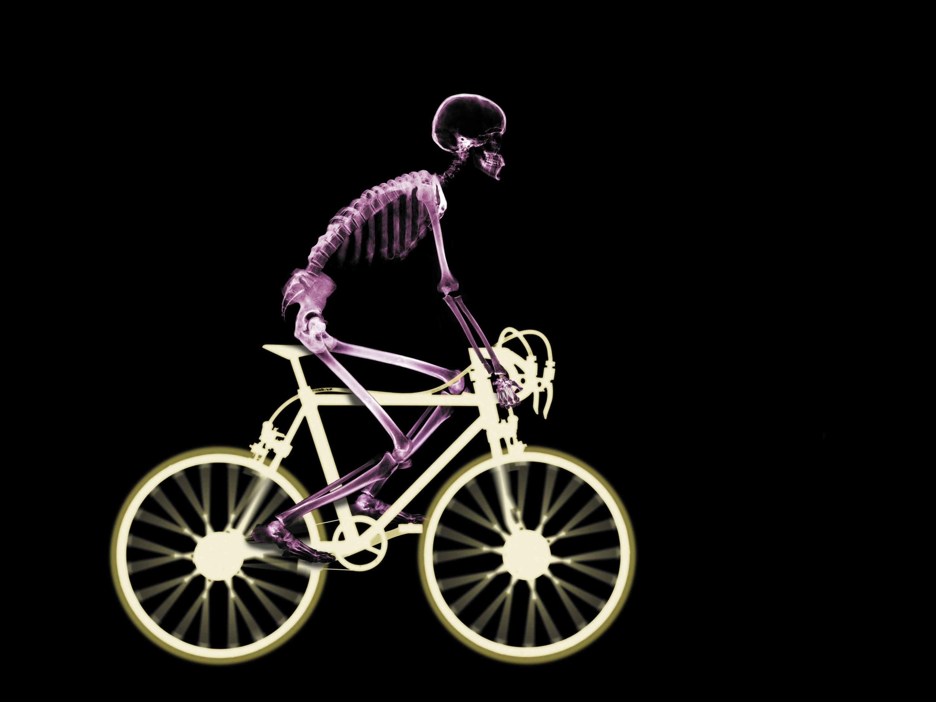 Wallpaper. Creative. photo. picture. skeleton, skinny cyclist