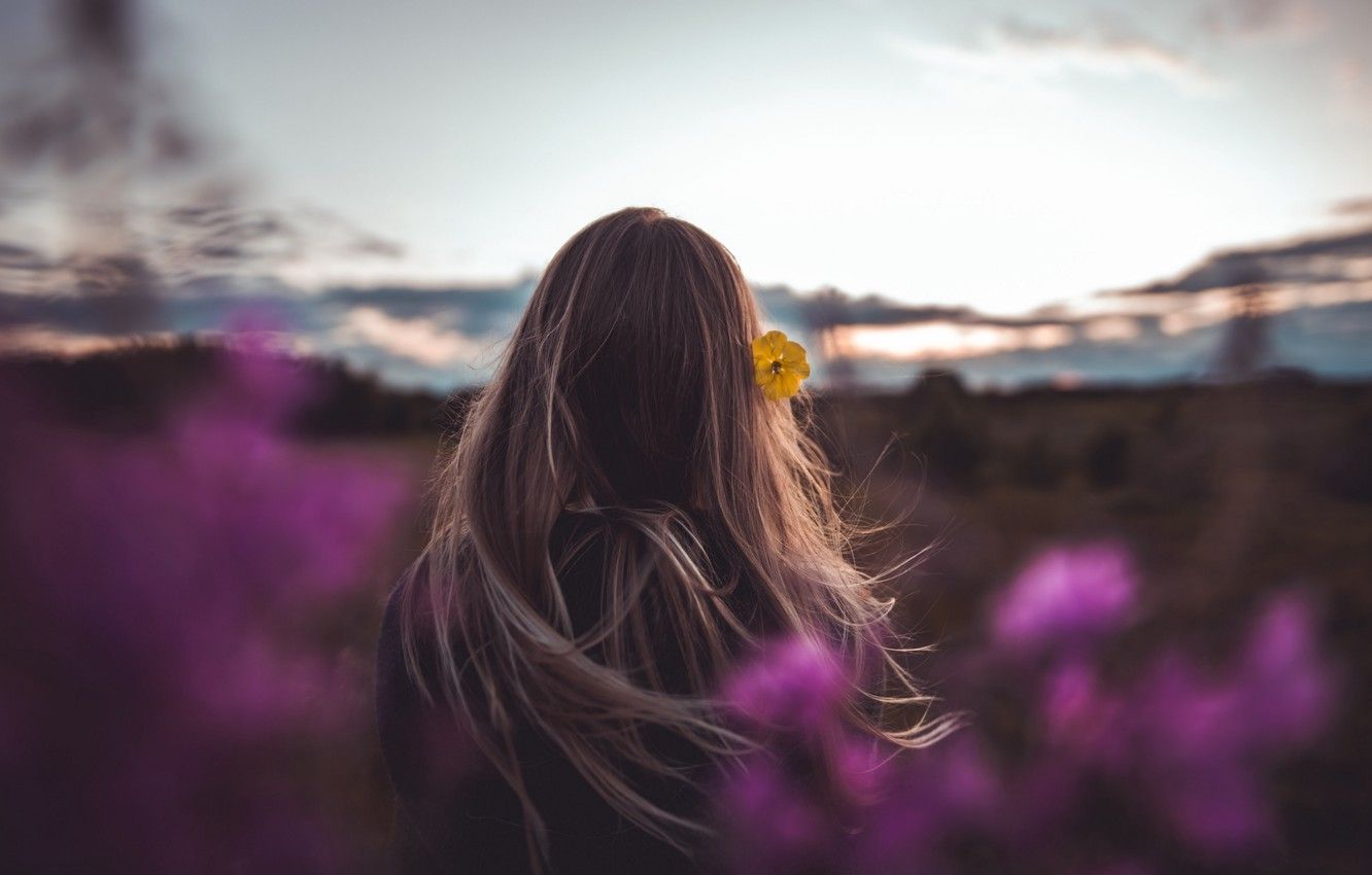 Wallpaper girl, twilight, flower, long hair, girls, nature, sunset, flowers, mood, solitude, blur, dusk, hair, back, peaceful, moods image for desktop, section настроения