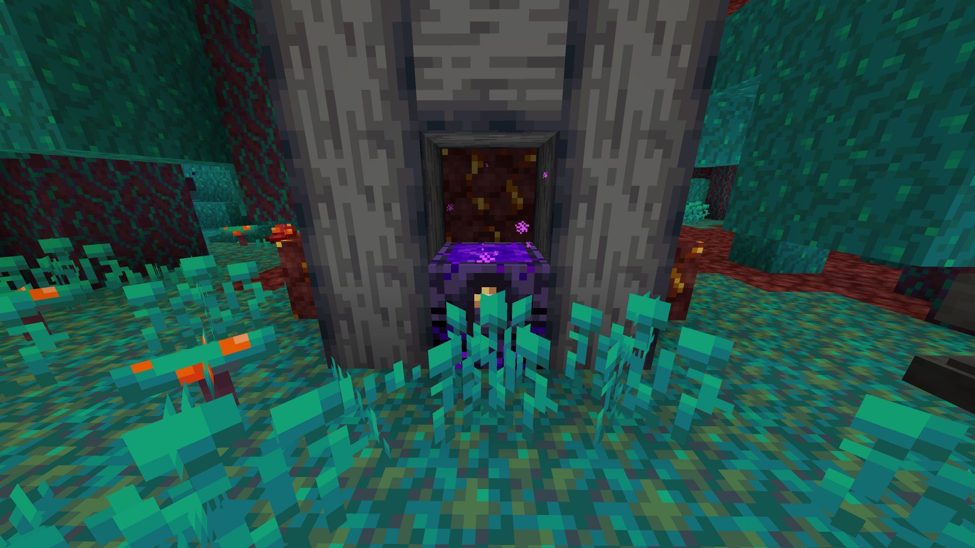 Updating Minecraft 1.16 allows spawn from Nether