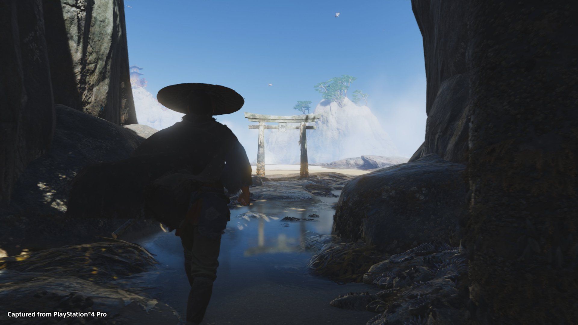 Ghost of Tsushima Review (PS4)