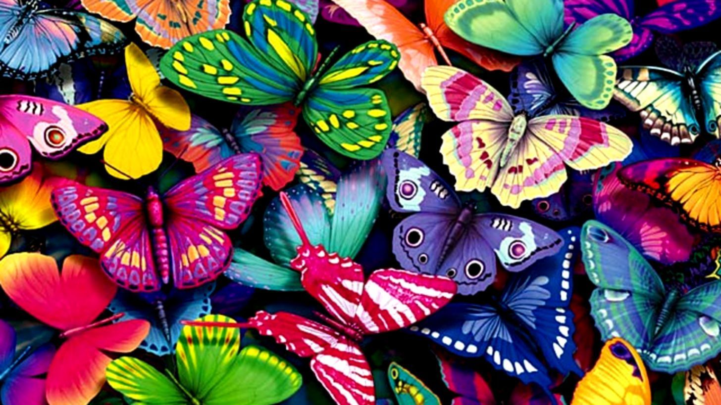 Butterflies Laptop Wallpaper Free Butterflies Laptop