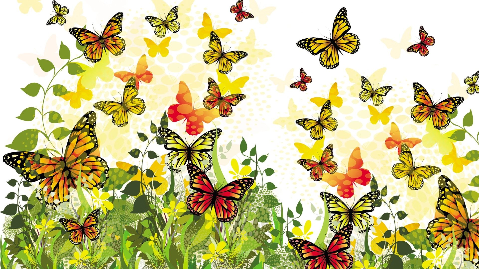 Colorful Butterflies HD Wallpaper. Background Imagex1080