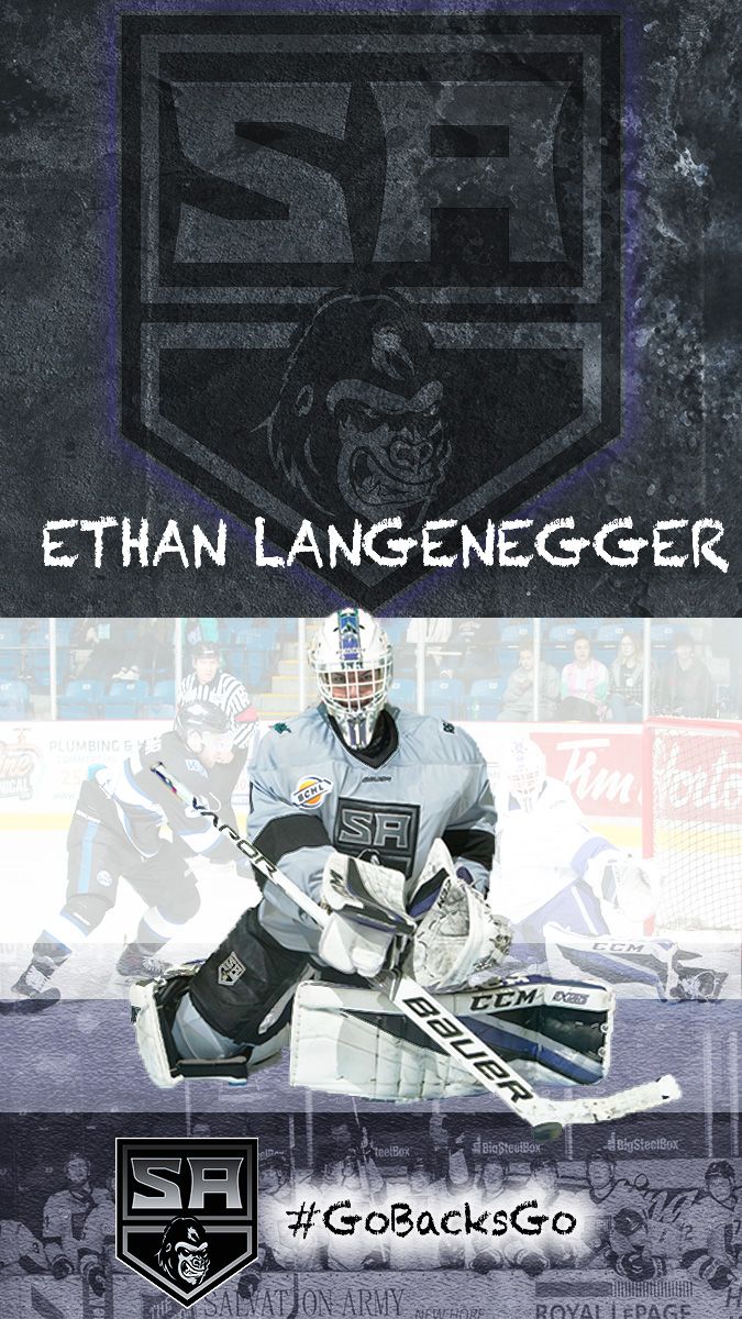 Wallpaper. Salmon Arm Silverbacks