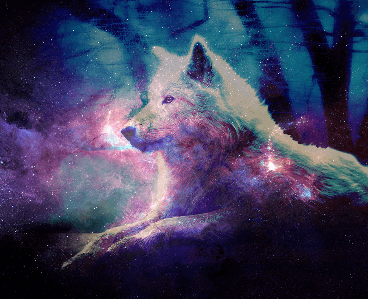 Anime Galaxy Wolf Wallpaper HD
