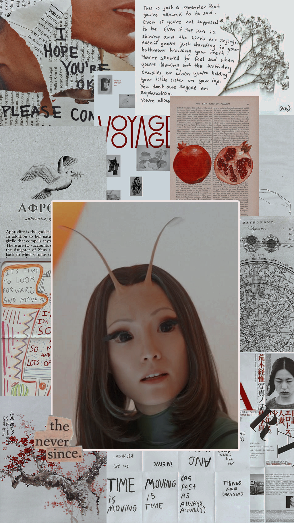 mantis wallpaper Tumblr posts