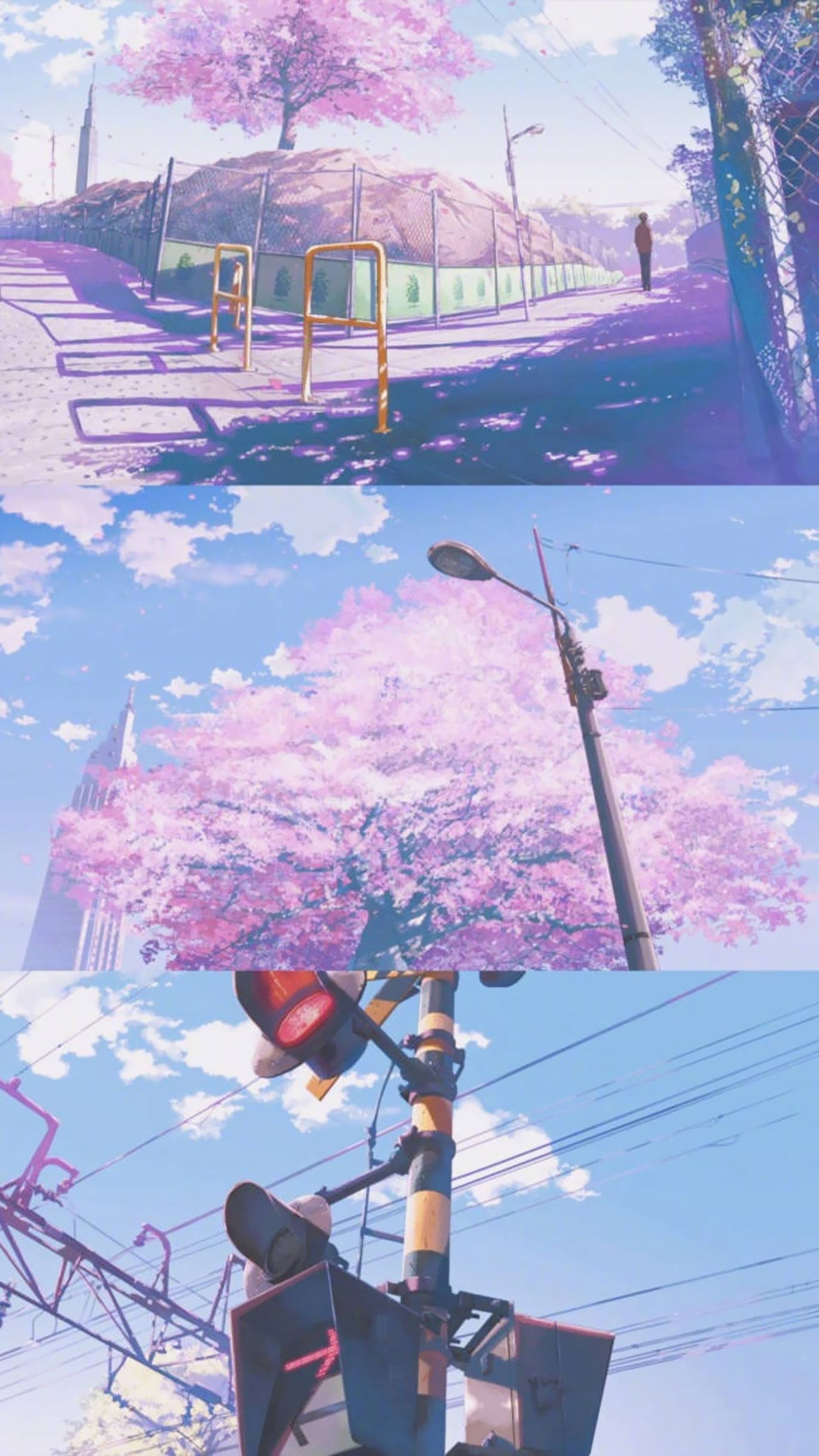 Cherry blossoms wallpaper. Anime background wallpaper, Anime scenery wallpaper, Anime scenery