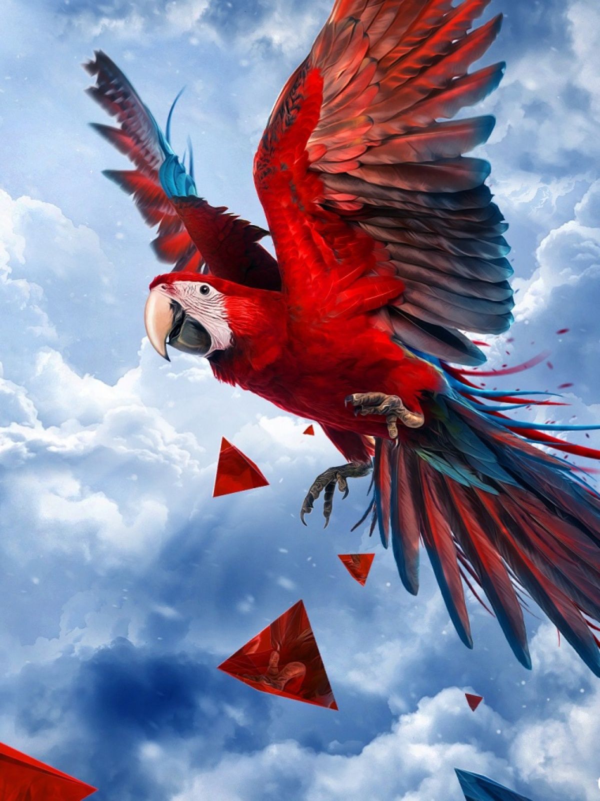 Parrot Blue Sky Mobile Wallpapers