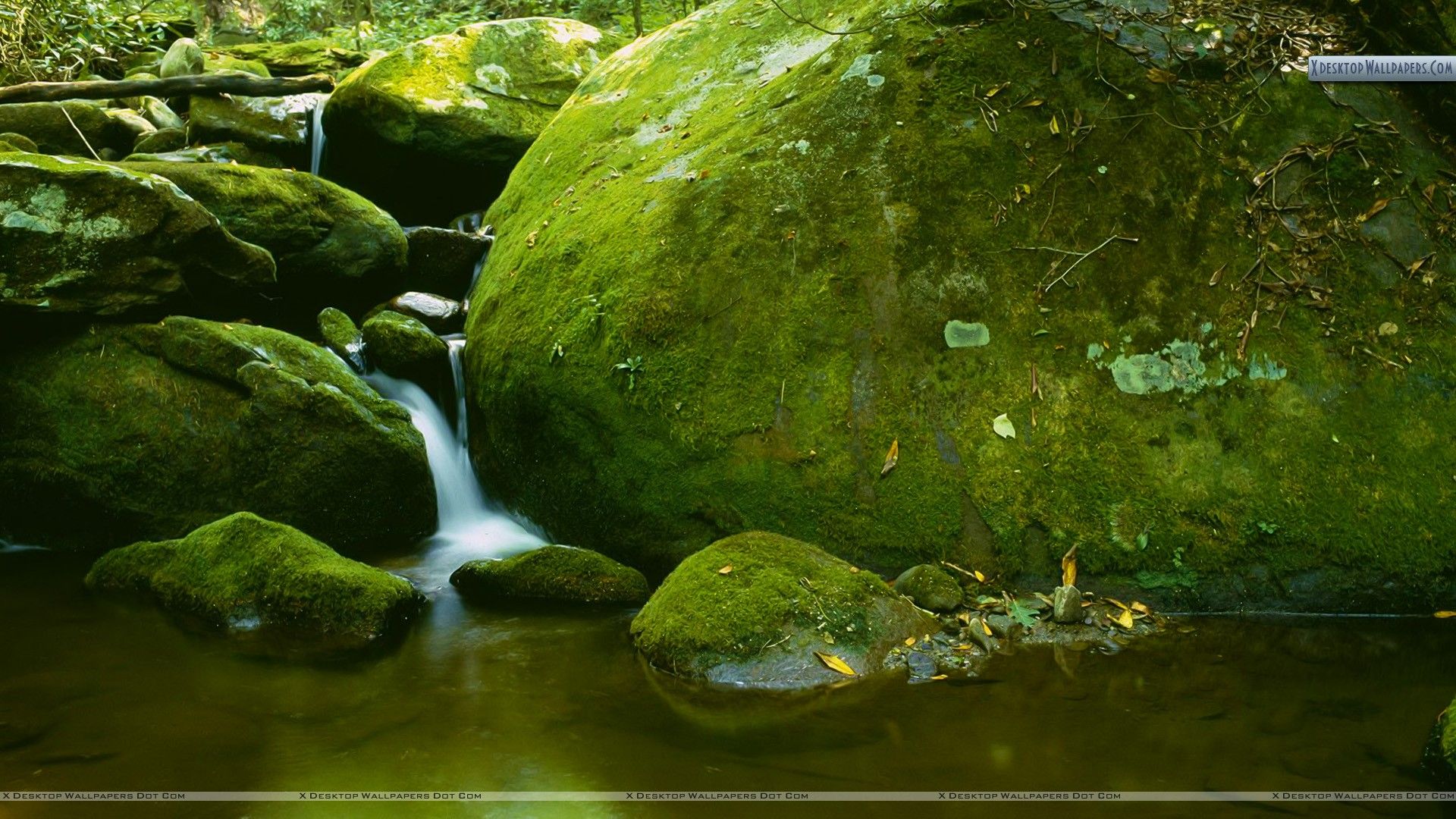 Mossy Boulder, Roaring Fork, Great Smoky Mountains National Park, Tennessee Wallpaper