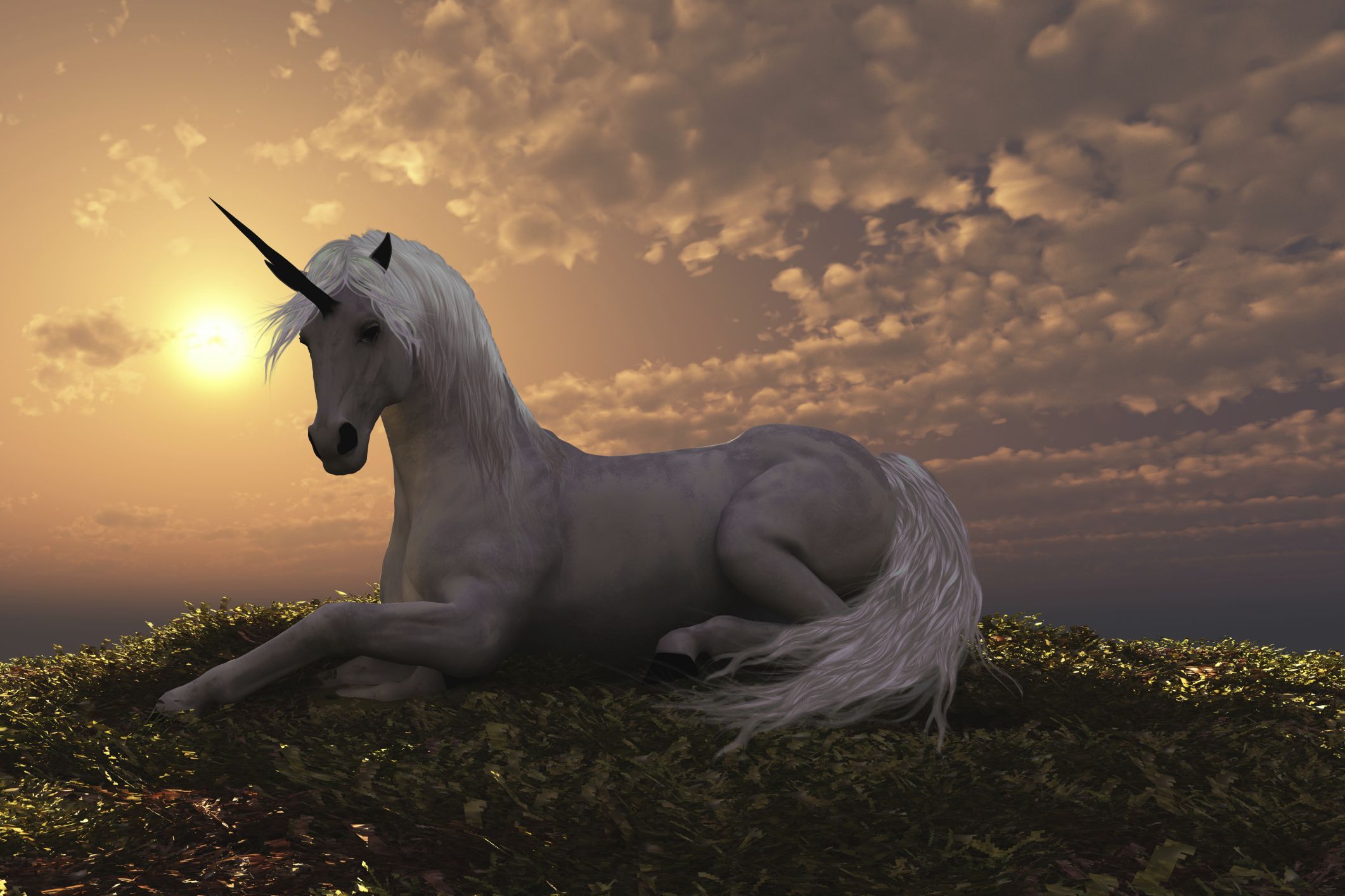 fantasy unicorn on mountaintop HD Wallpaper. Background Image
