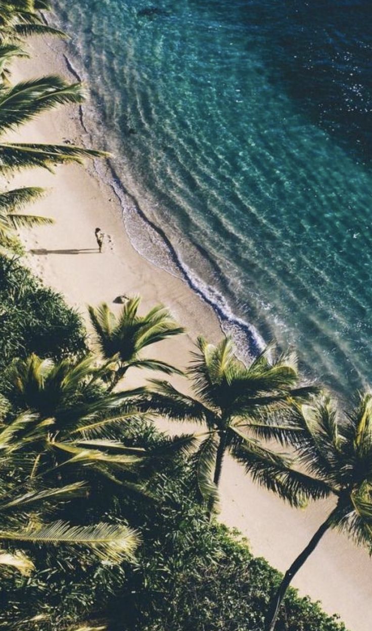 hawaii aesthetic photography. Beautiful nature, Nature