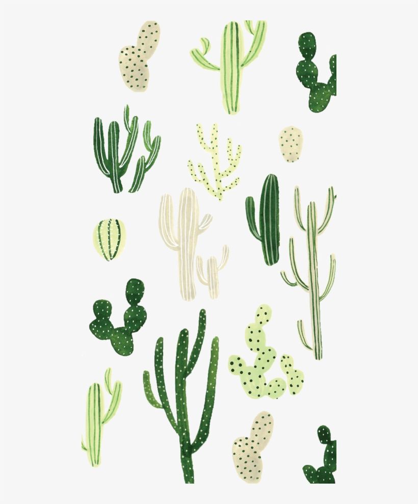 Cute Aesthetic Cactus Wallpapers - Wallpaper Cave