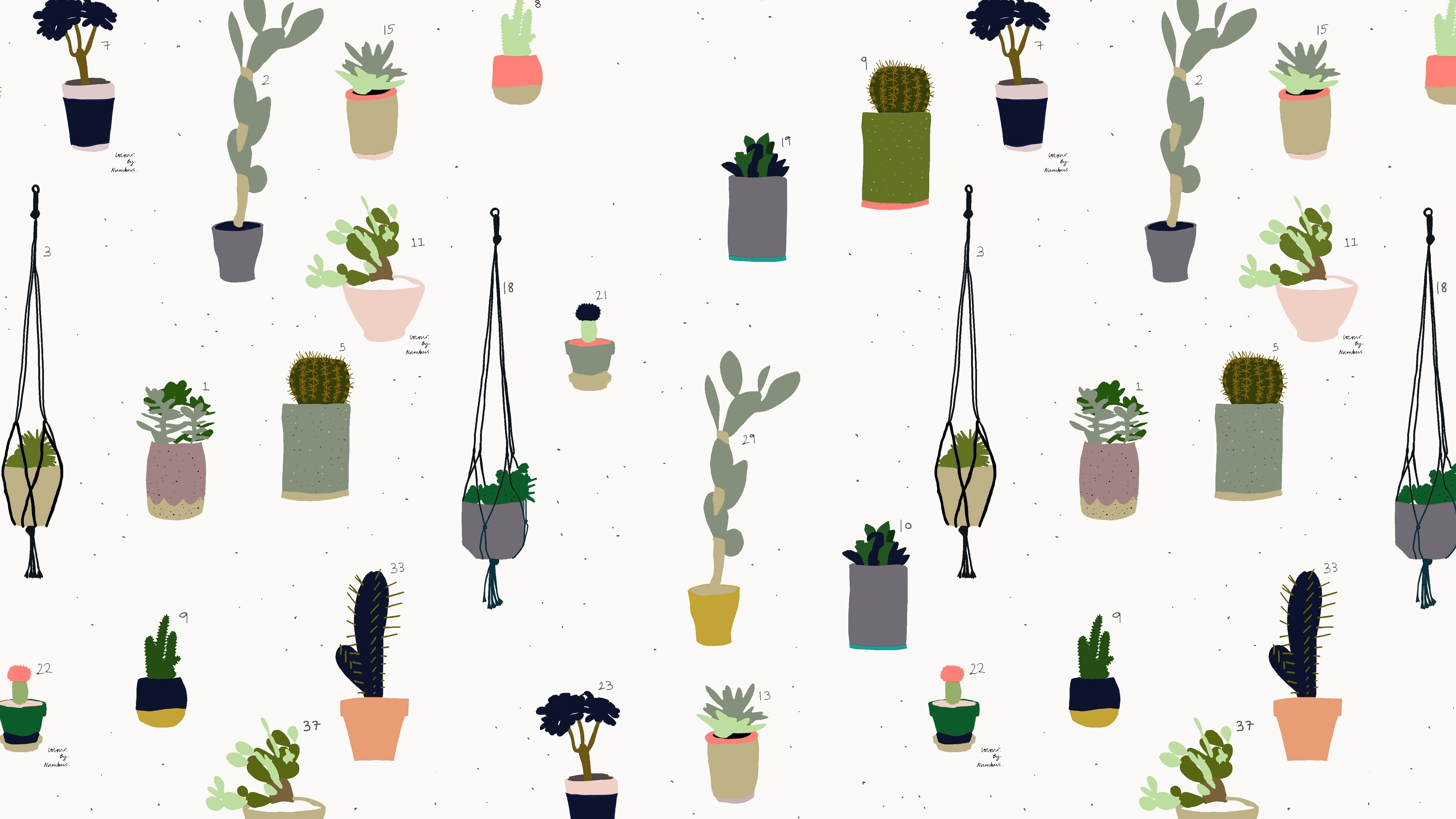 Laptop Cute Wallpaper Cactus