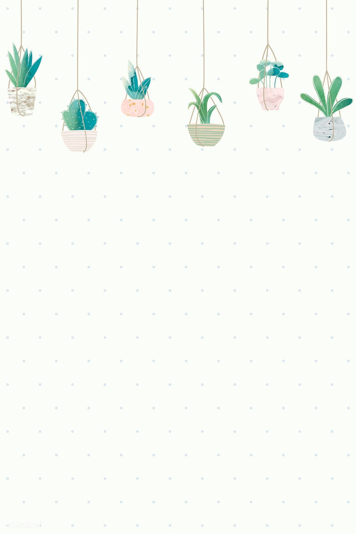 Blank cactus frame design vector. premium image #vector #vectoart #digitalpain. Cactus illustration, Plant wallpaper, Flower background wallpaper