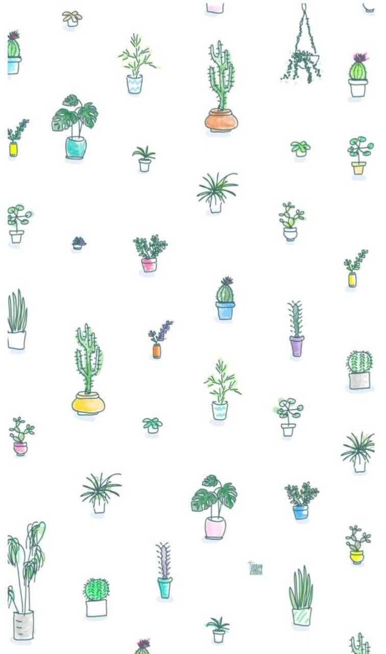 cute plants wallpaper