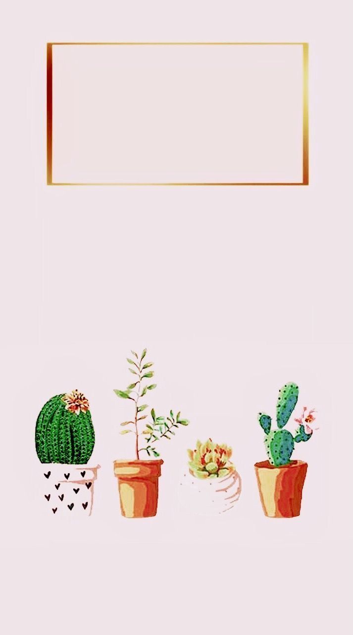 Cute Aesthetic Cactus Wallpapers - Wallpaper Cave