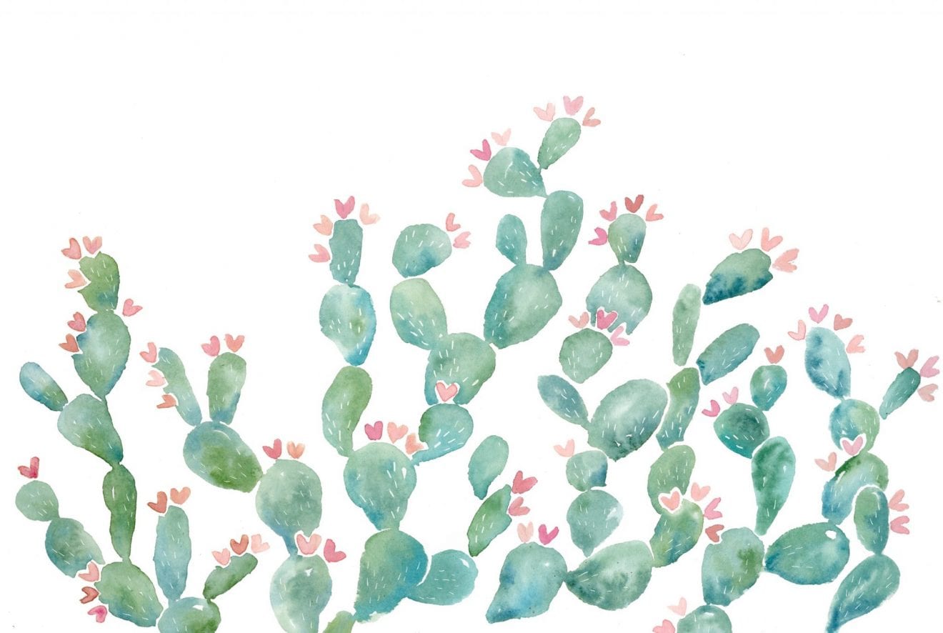 Aesthetic Wallpaper Cactus