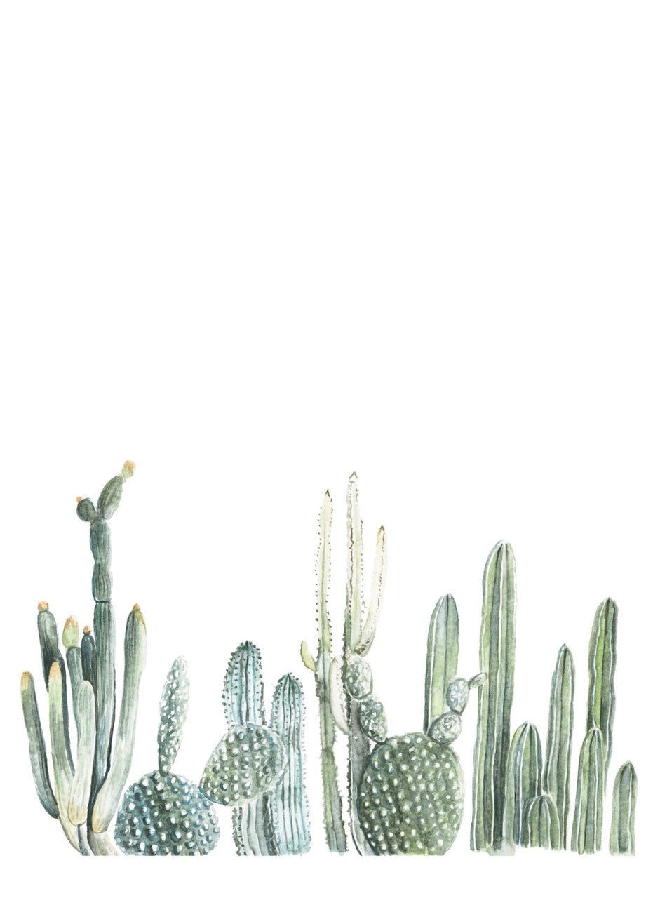 Cactus Watercolor uploaded by We Love Cacti