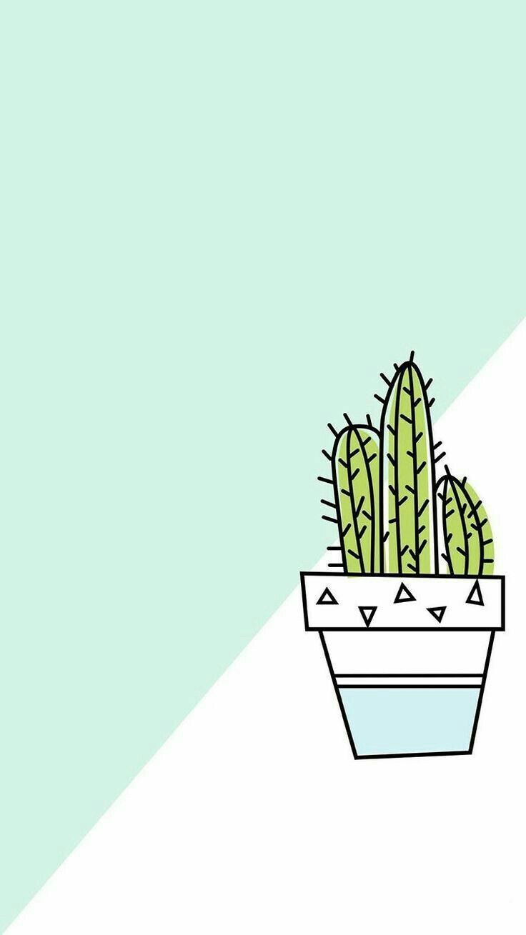 Cactus Tumblr Wallpaper
