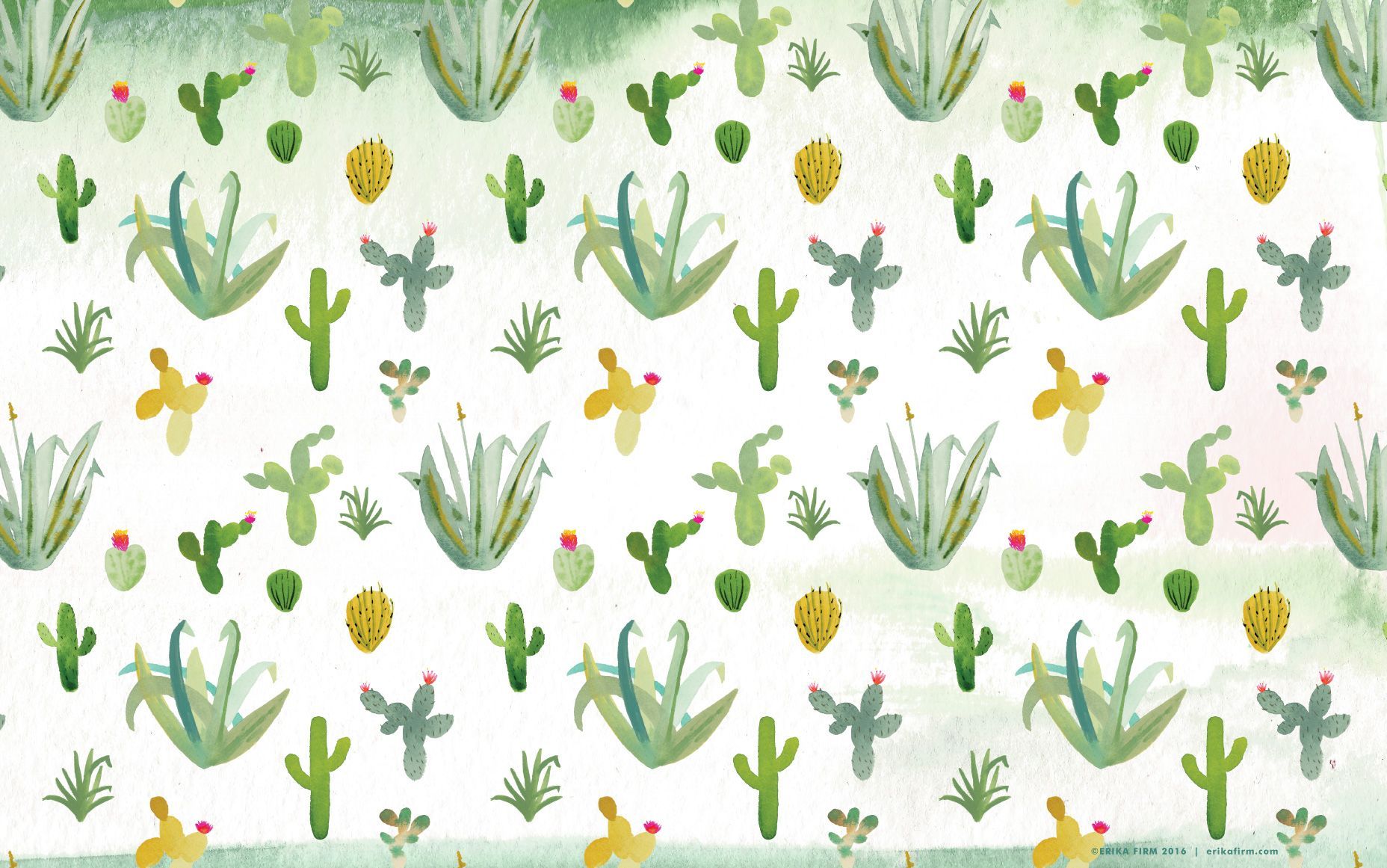 Cute Aesthetic Cactus Wallpapers - Wallpaper Cave