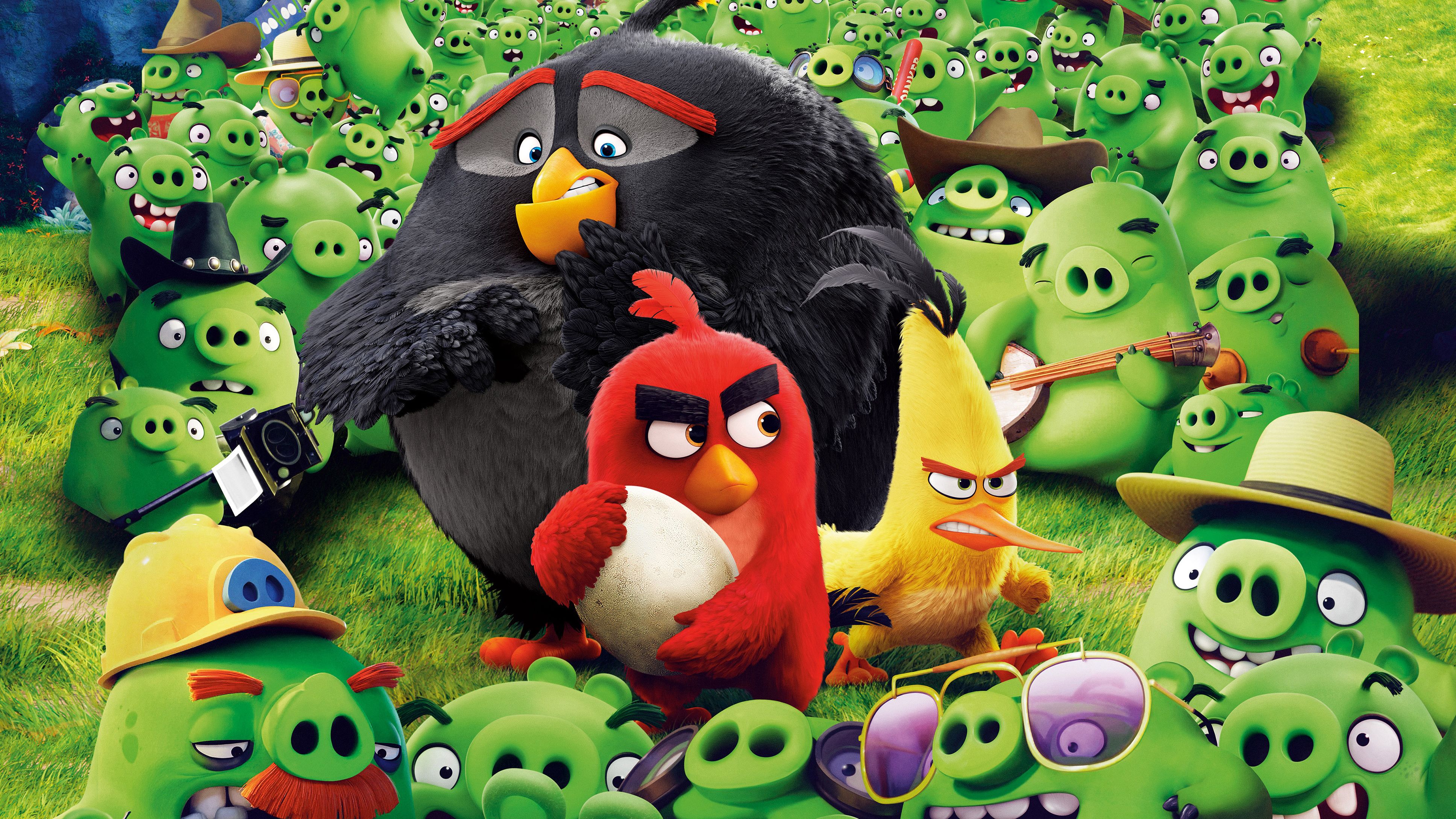 Cute Angry Birds Wallpapers  Top Free Cute Angry Birds Backgrounds   WallpaperAccess