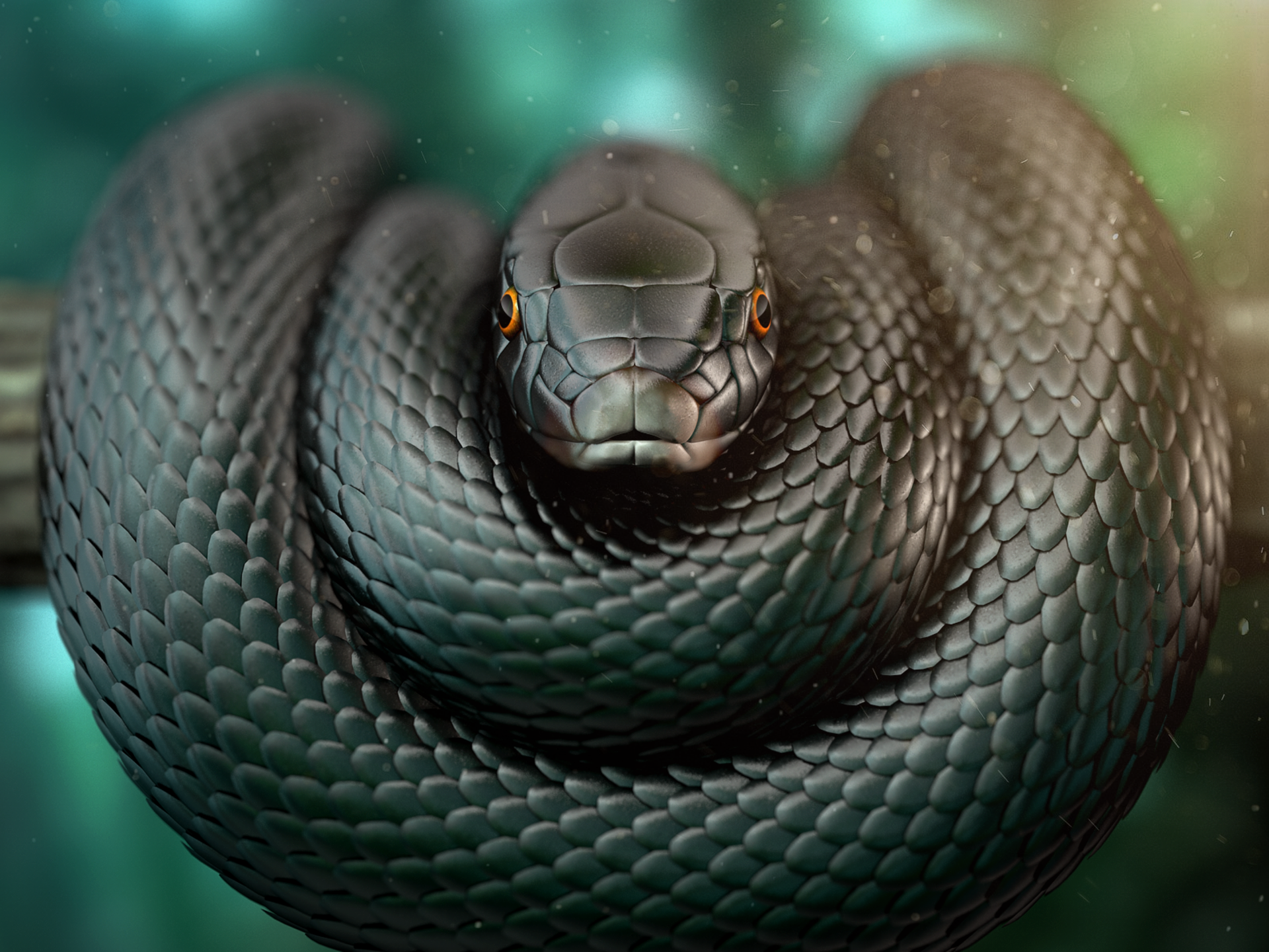 Wallpaper Black Mamba Widescreen Picture Of Black Mamba