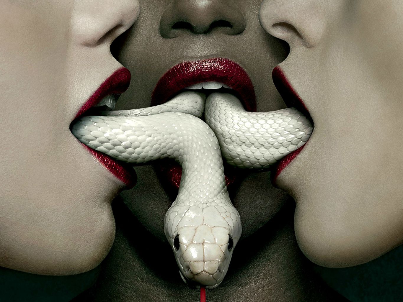 Wallpaper snake American Horror Story film Lips 1365x1024