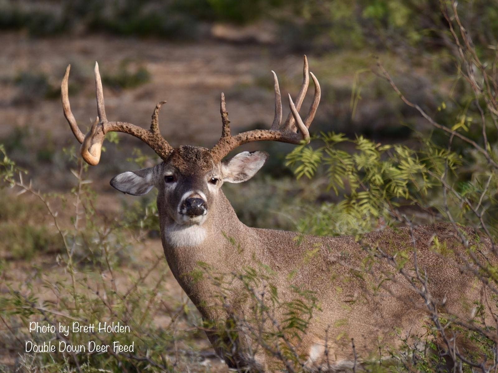 The Most Important Time To Feed Protein If You Want To Grow Big