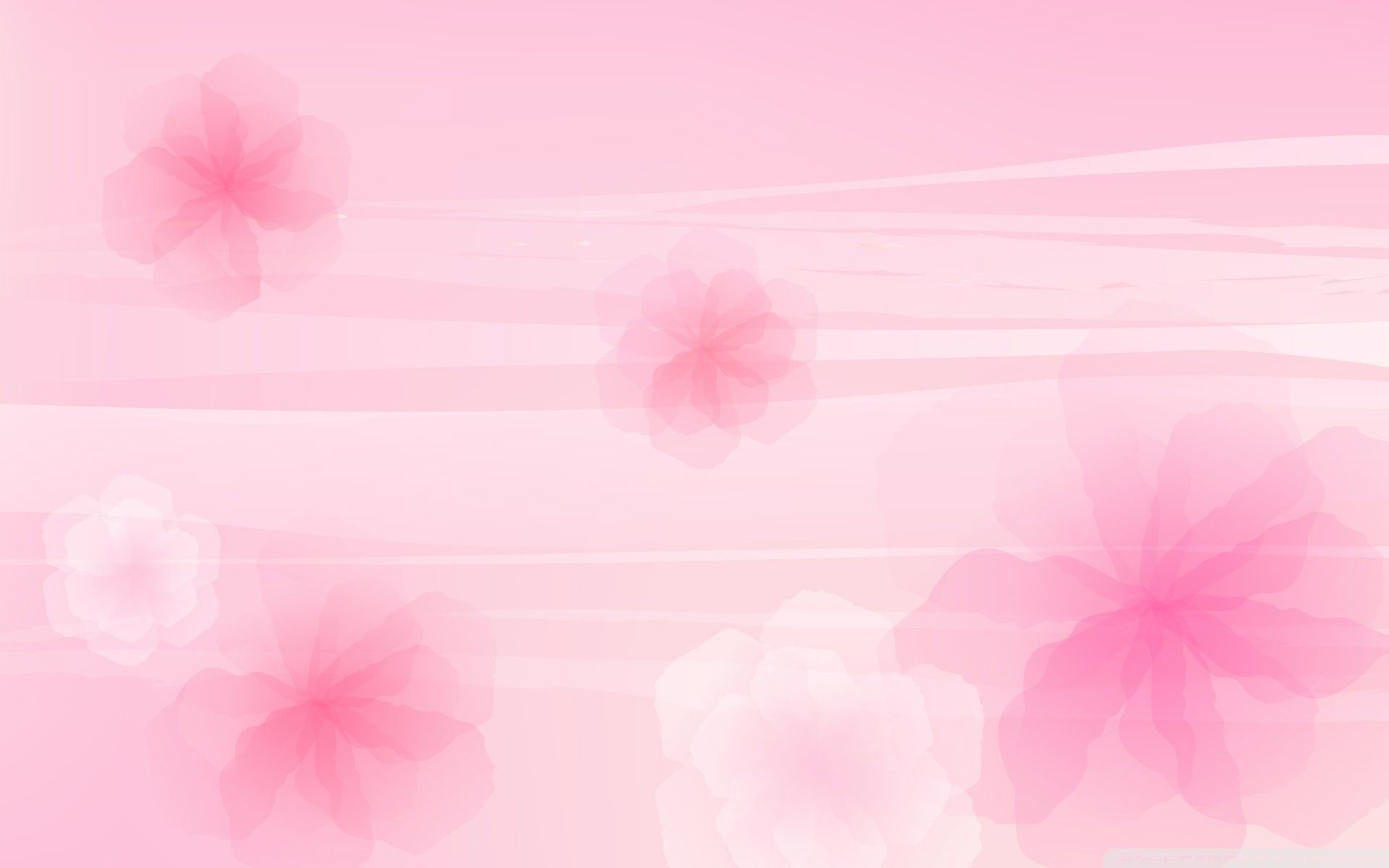 Aesthetic Cute Light Pink Background