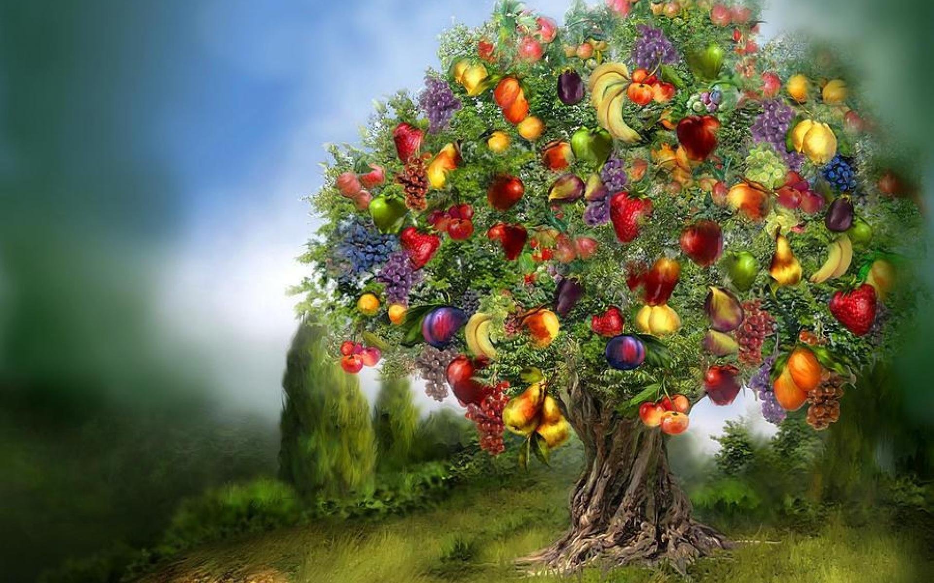 Tree Of Abundance wallpaper. Tree Of Abundance