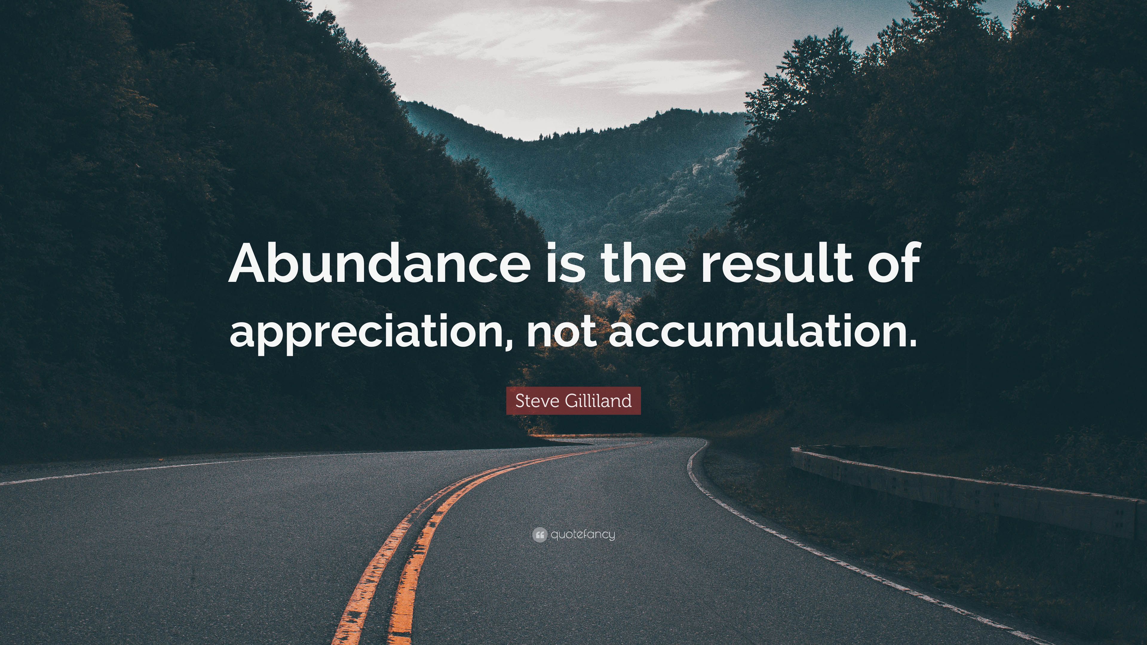 Steve Gilliland Quote: “Abundance is the result of appreciation