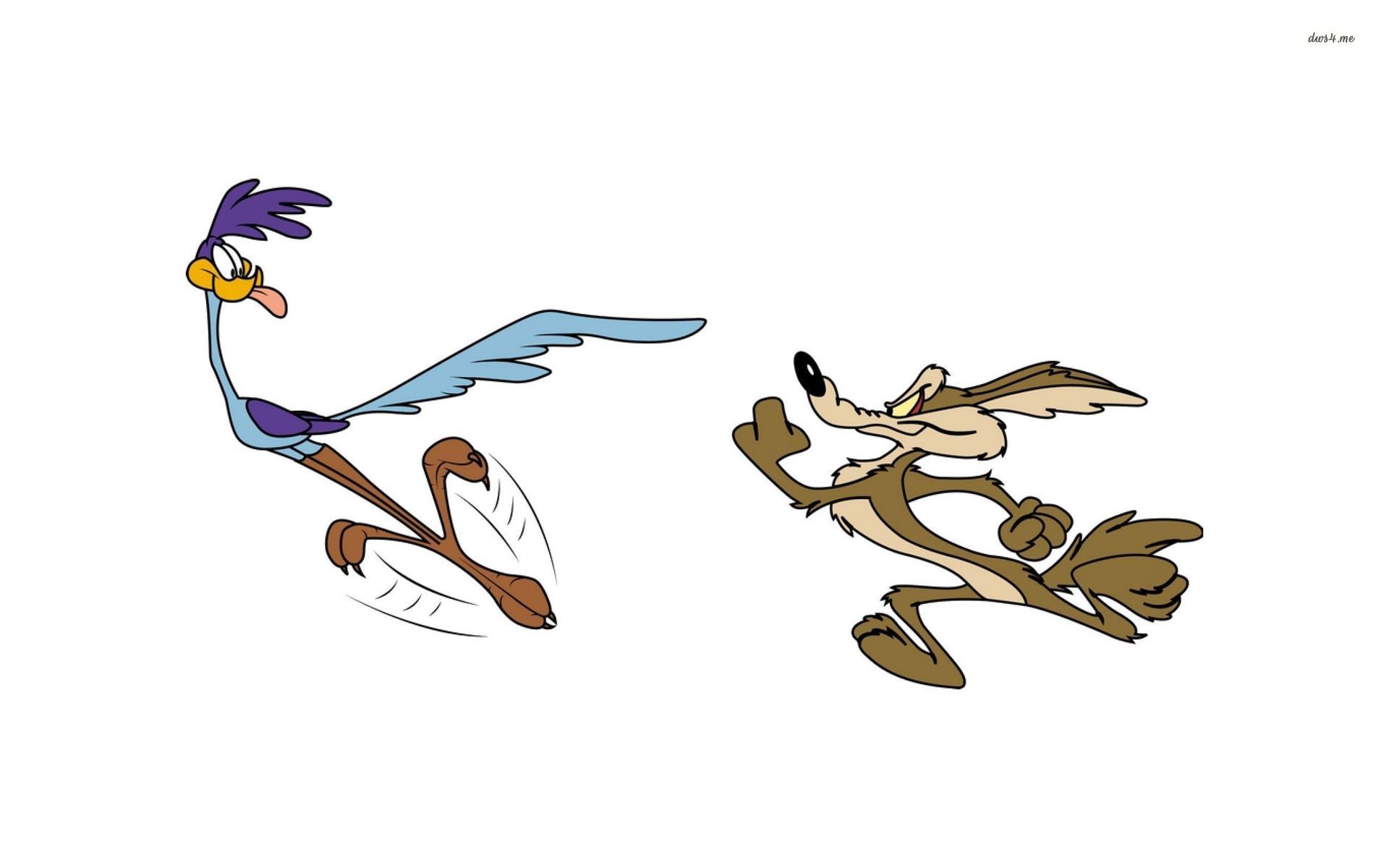 Wile E. Coyote and The Road Runner wallpaper wallpaper