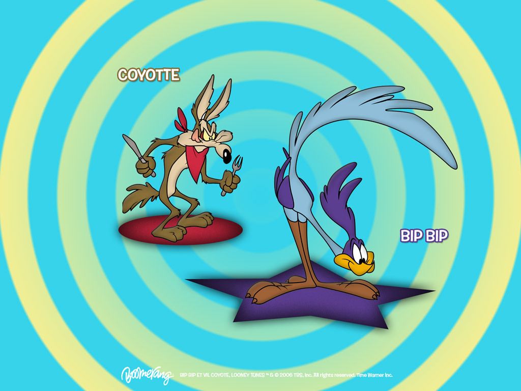 Free download Road Runner Wile E Coyote Looney Tunes Wallpaper