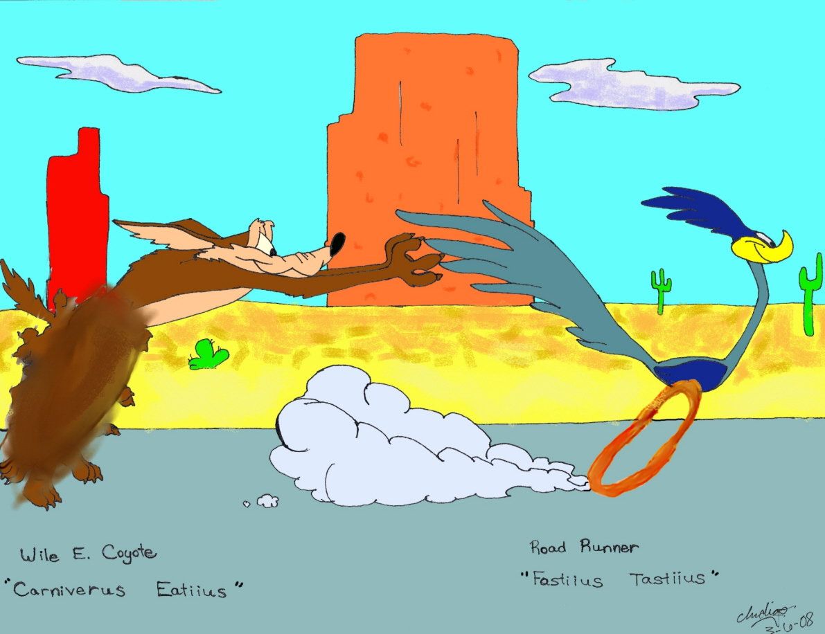 Free download Wile E Coyote and Road Runner
