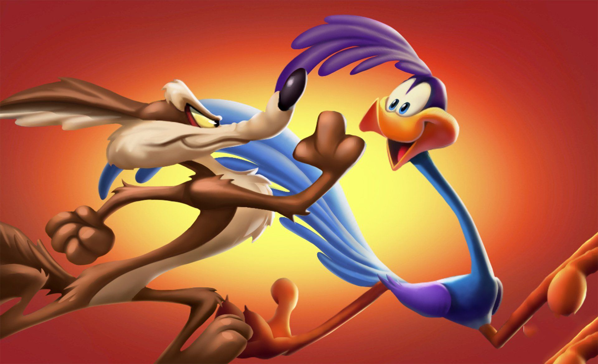 Wile E. Coyote HD Wallpaper and Background Image