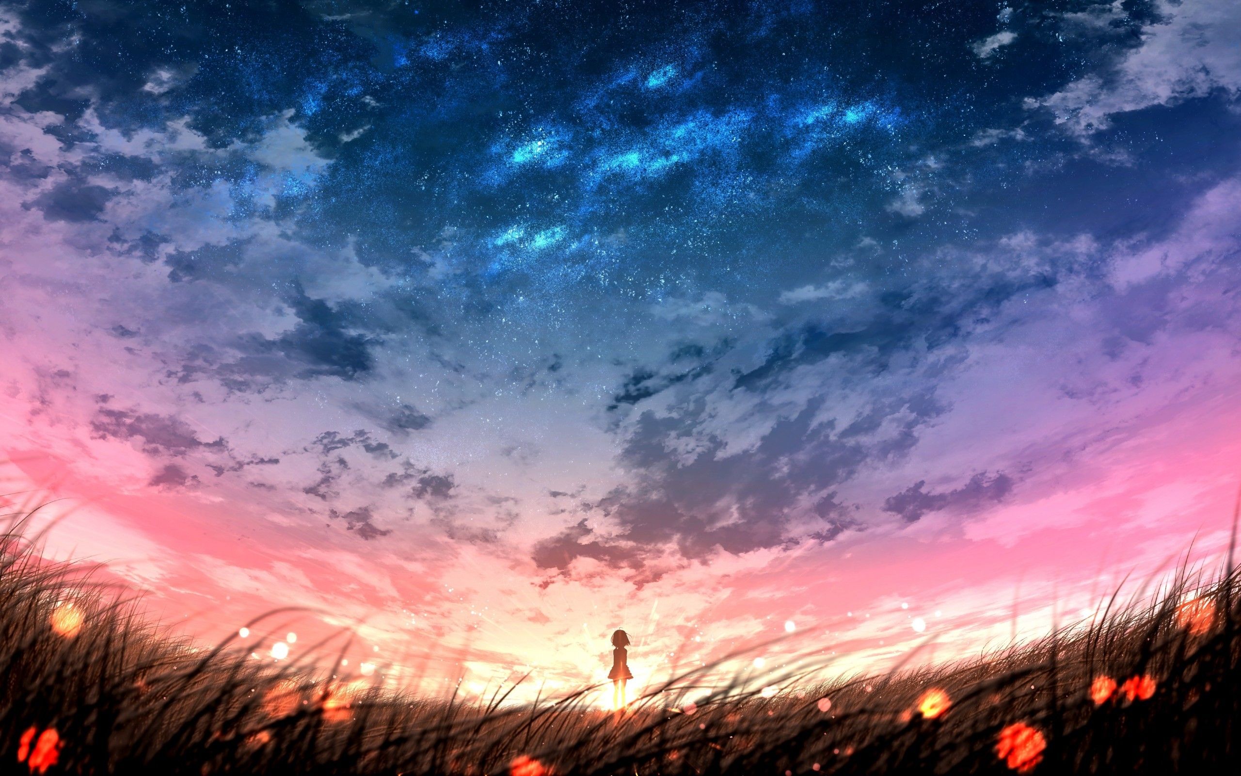 Download 2560x1600 Anime Landscape, Sunset, Plants, Field, Sky