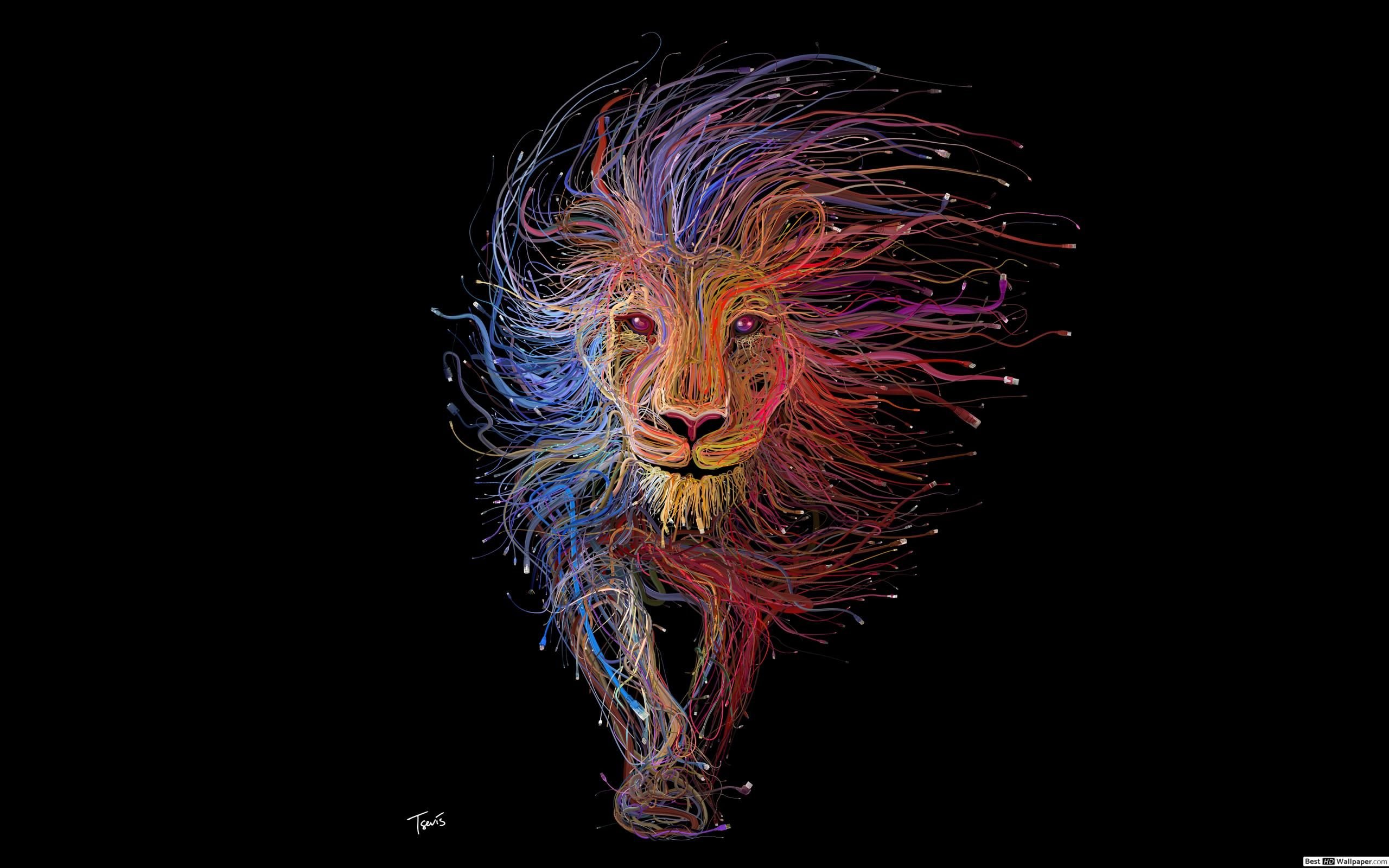 Colorful Lion HD wallpaper download