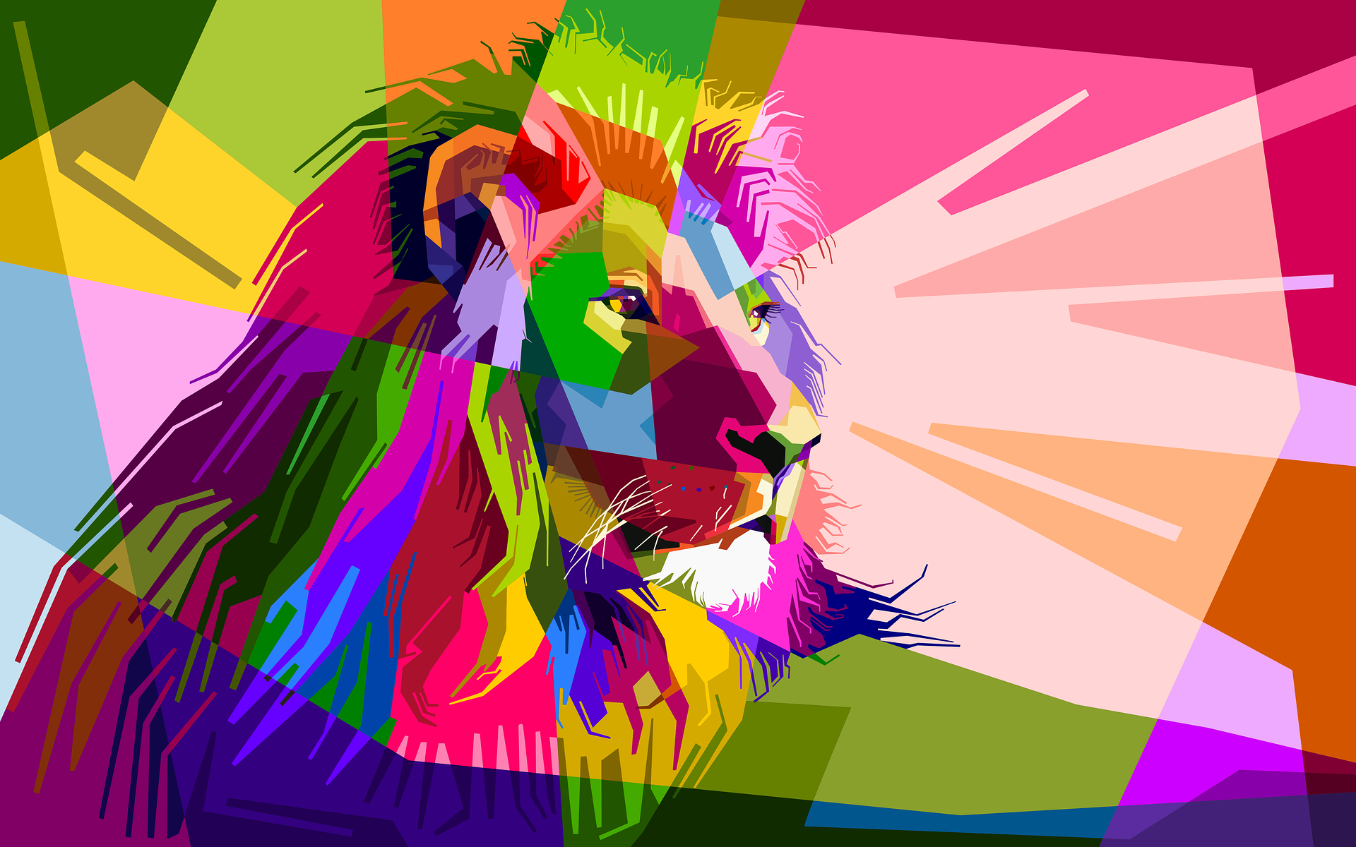 Coulorful Lion HD Wallpaper