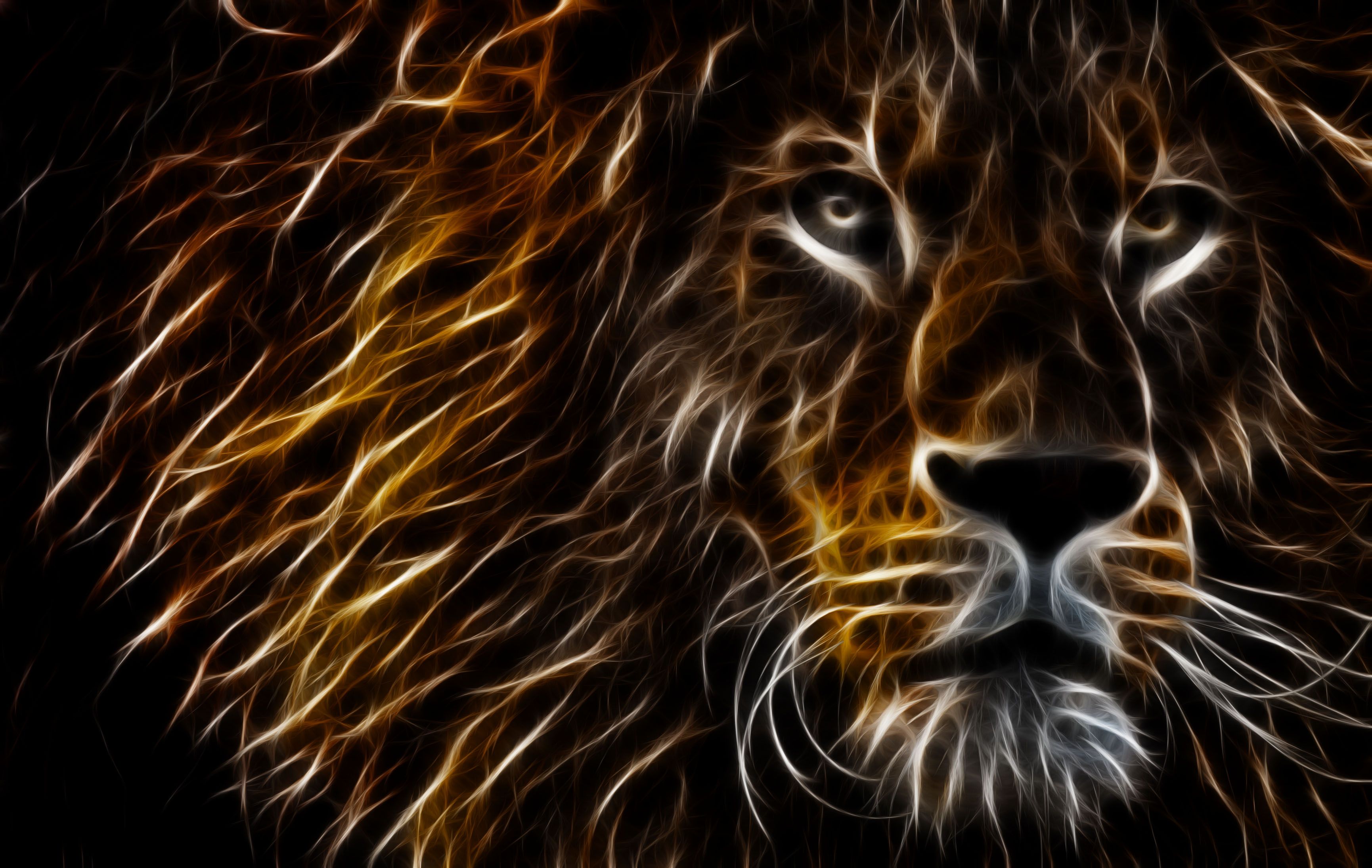 Colorful lion HD Wallpaper