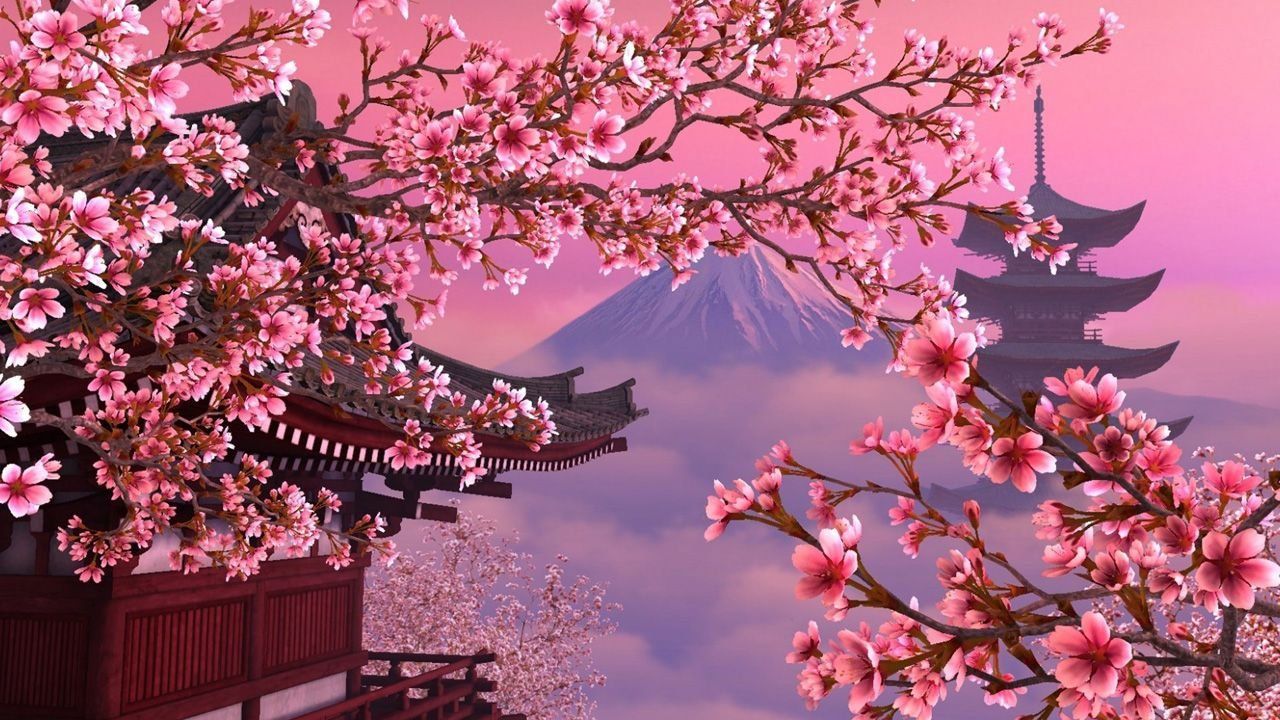 Anime Cherry Blossom Aesthetic Wallpaper