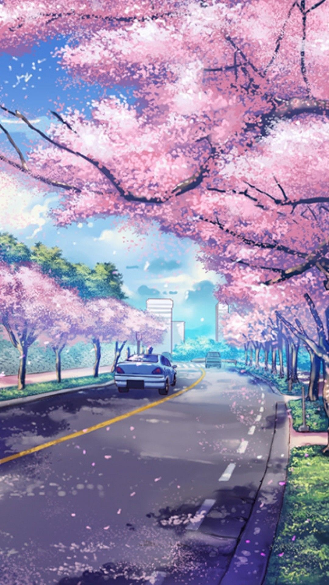 Anime Cherry Blossom Phone Wallpaper Free Anime Cherry Blossom Phone Background