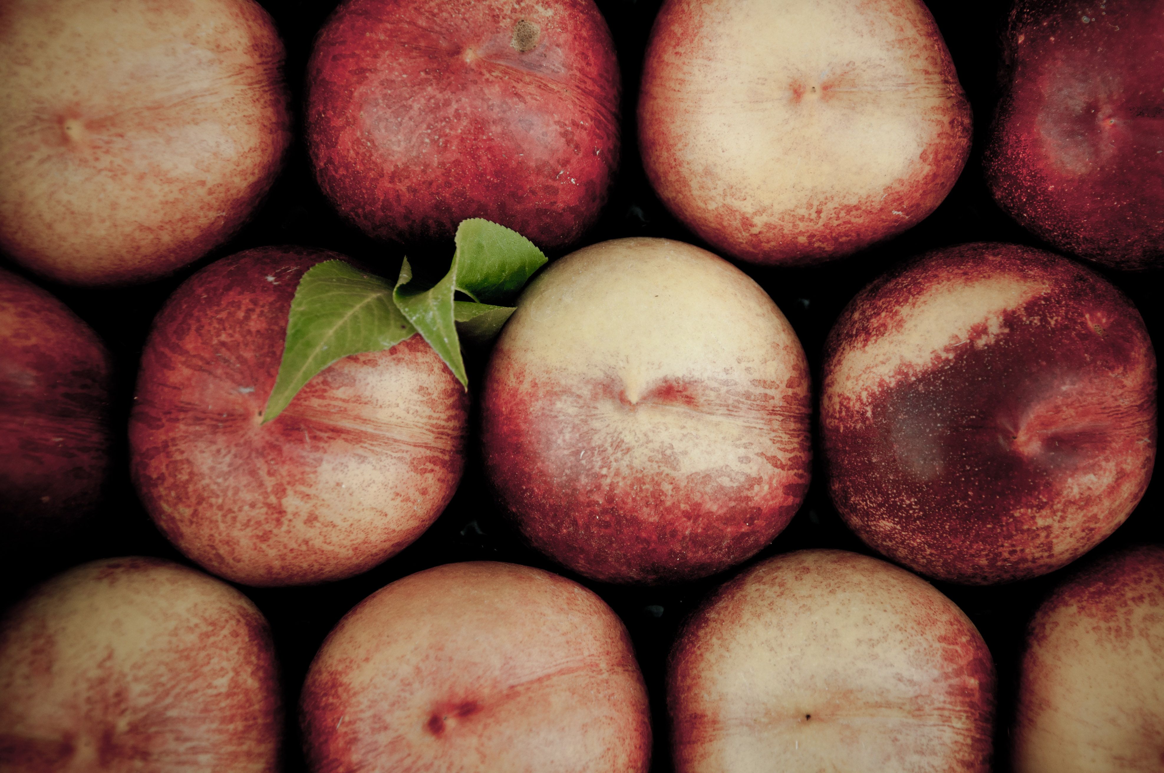 Free photo: Peaches, Lots, Set