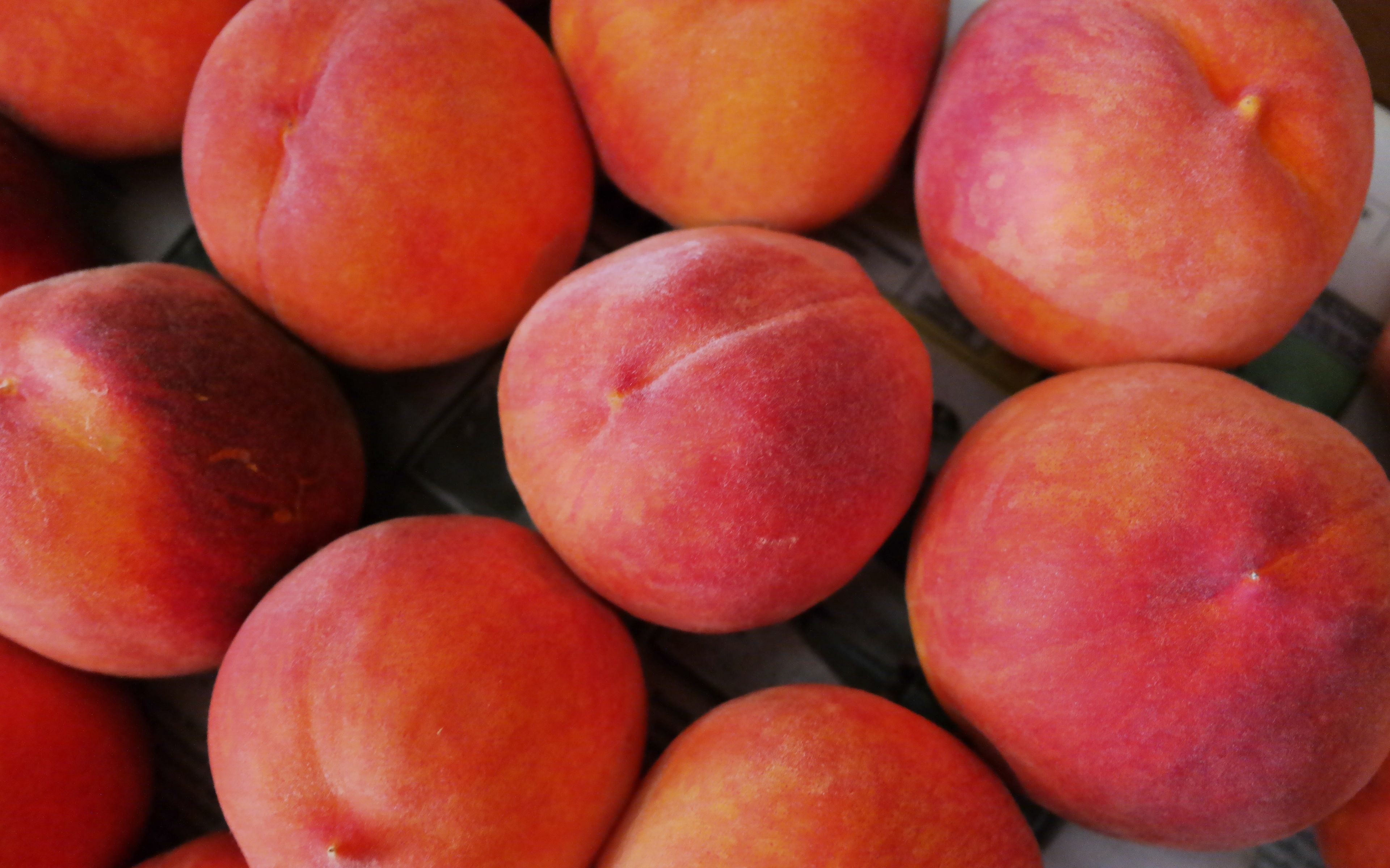 Peach Fruit Wallpaper HD