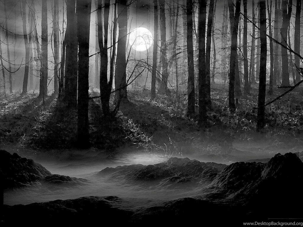 Pins For: Creepy Forest Wallpaper From Desktop Background