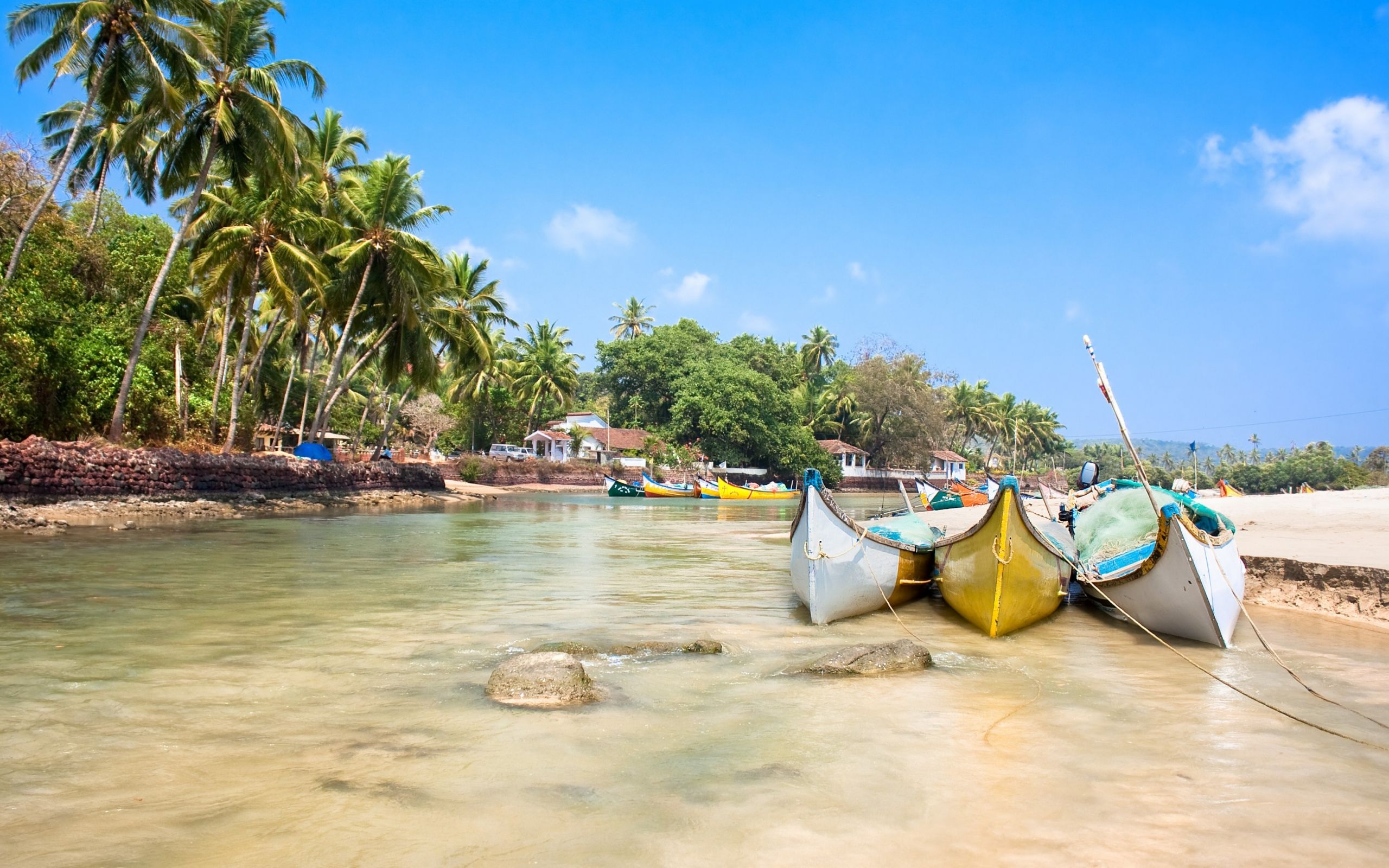 Download Goa, 5k, 4k wallpaper, India, Indian ocean, palms, boats